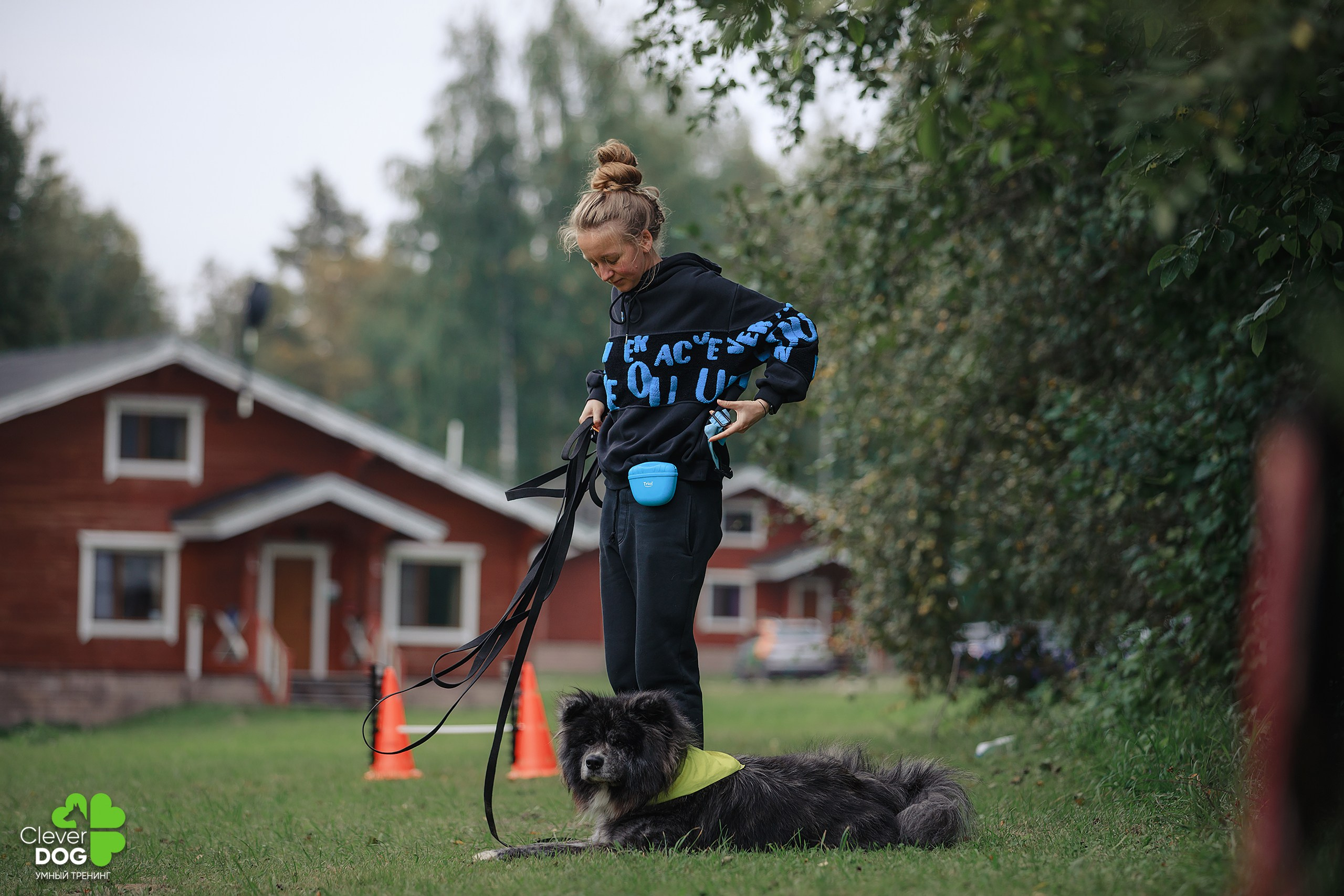 Кинологический лагерь CleverDog, 2024. Фотограф-анималист Mary Mart — Москва, Питер