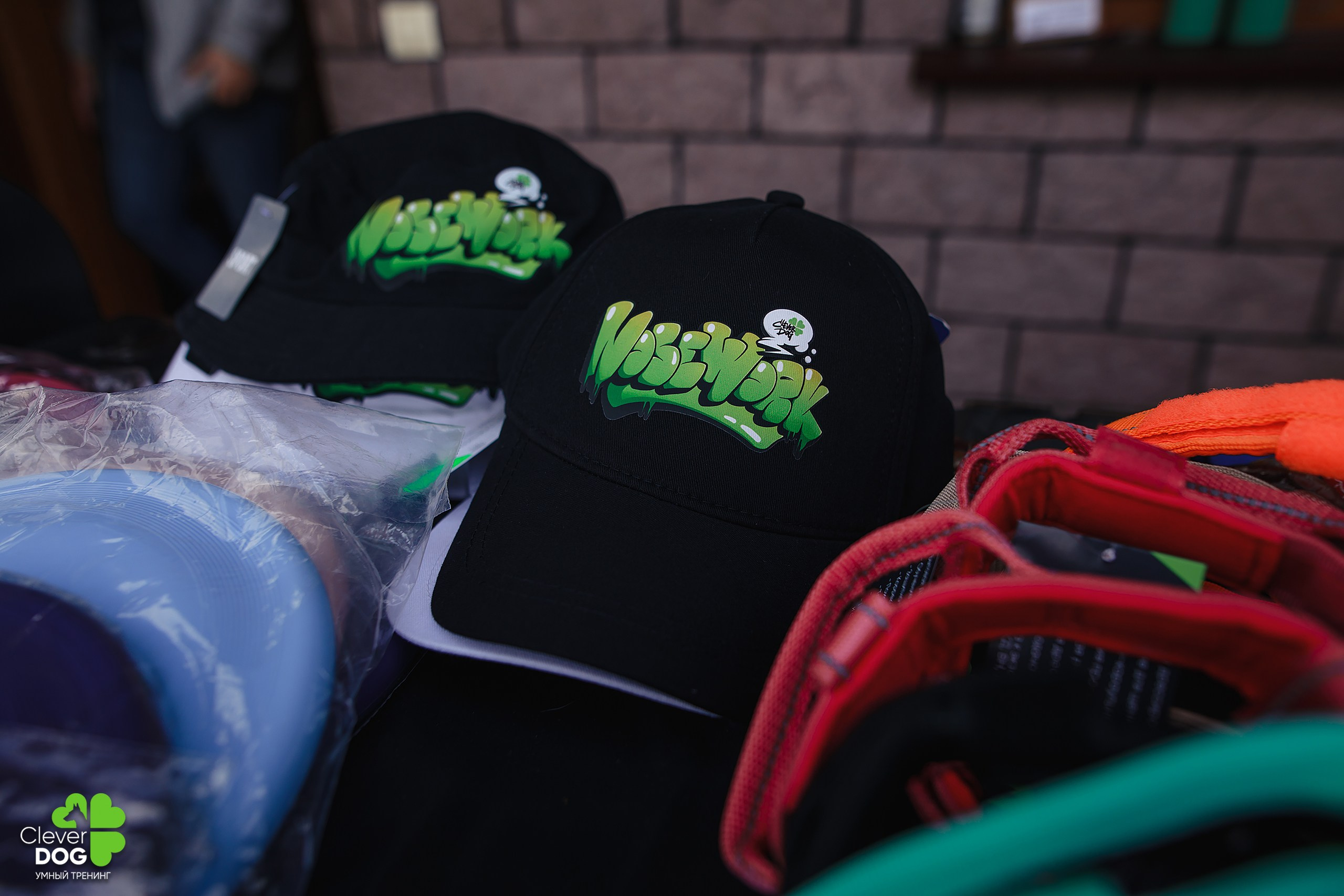 Кинологический лагерь CleverDog, 2024. Фотограф-анималист Mary Mart — Москва, Питер