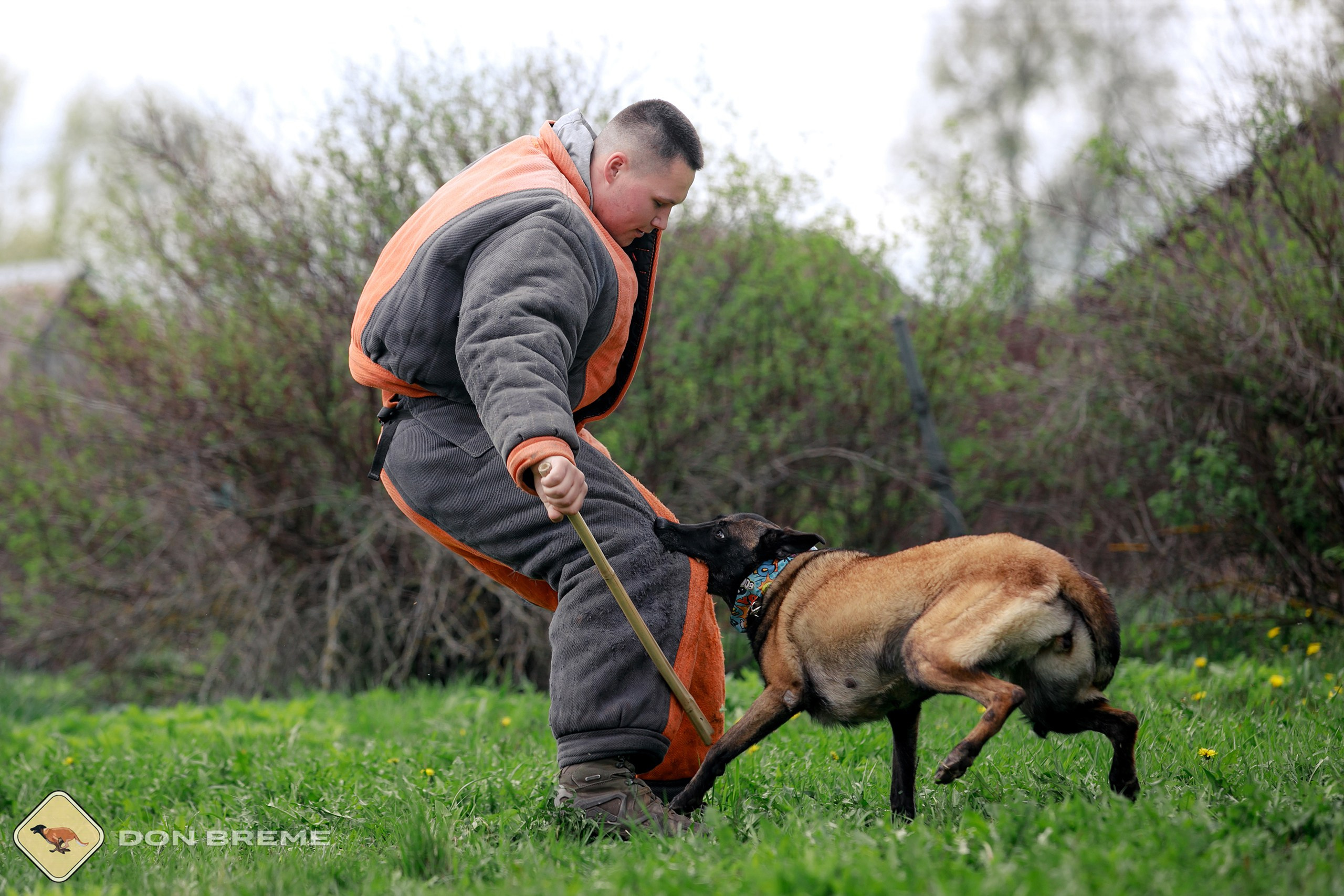 Семинар для фигурантов, день 2. Фотограф-анималист Mary Mart — Москва, Питер