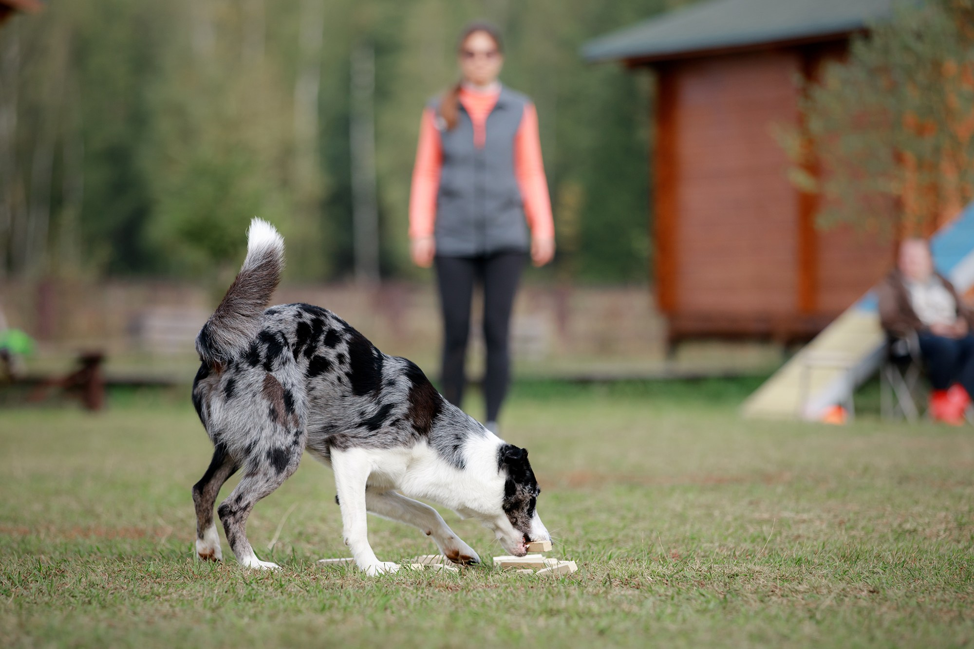 Лагерь по ОБД с Инной Баженовой. Фотограф-анималист Mary Mart — Москва, Питер