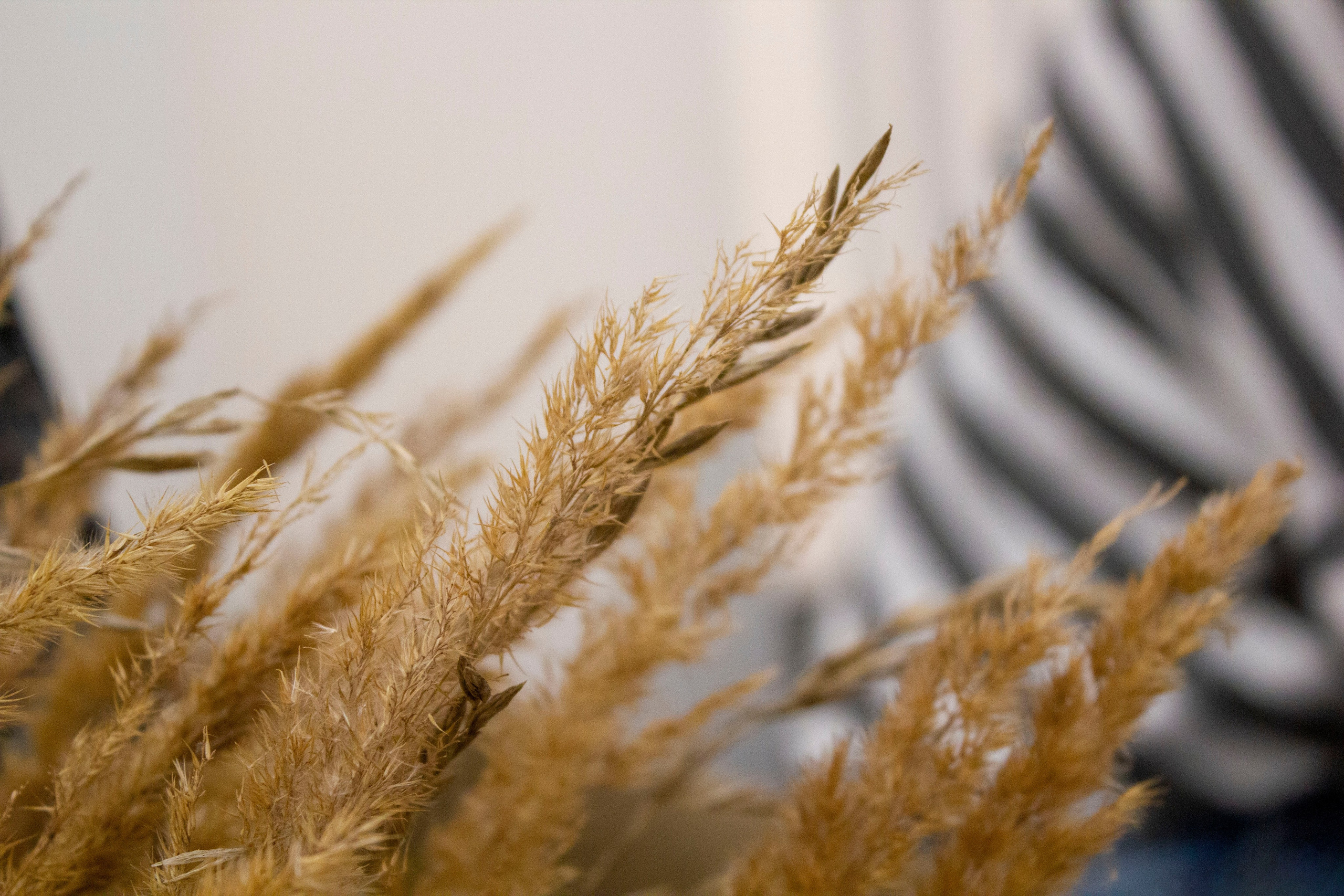 Play DigitalArt 2024