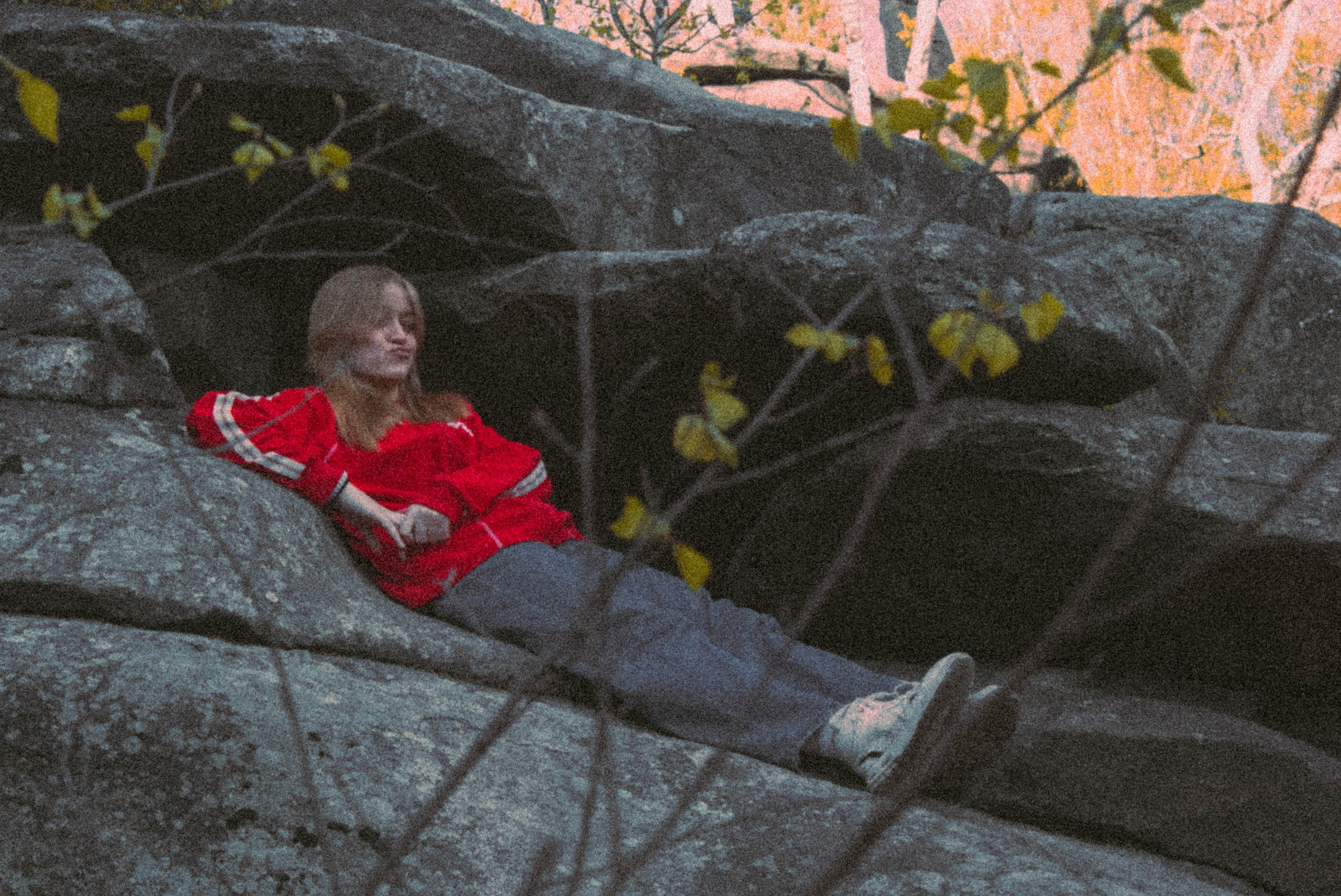 «Без названия»