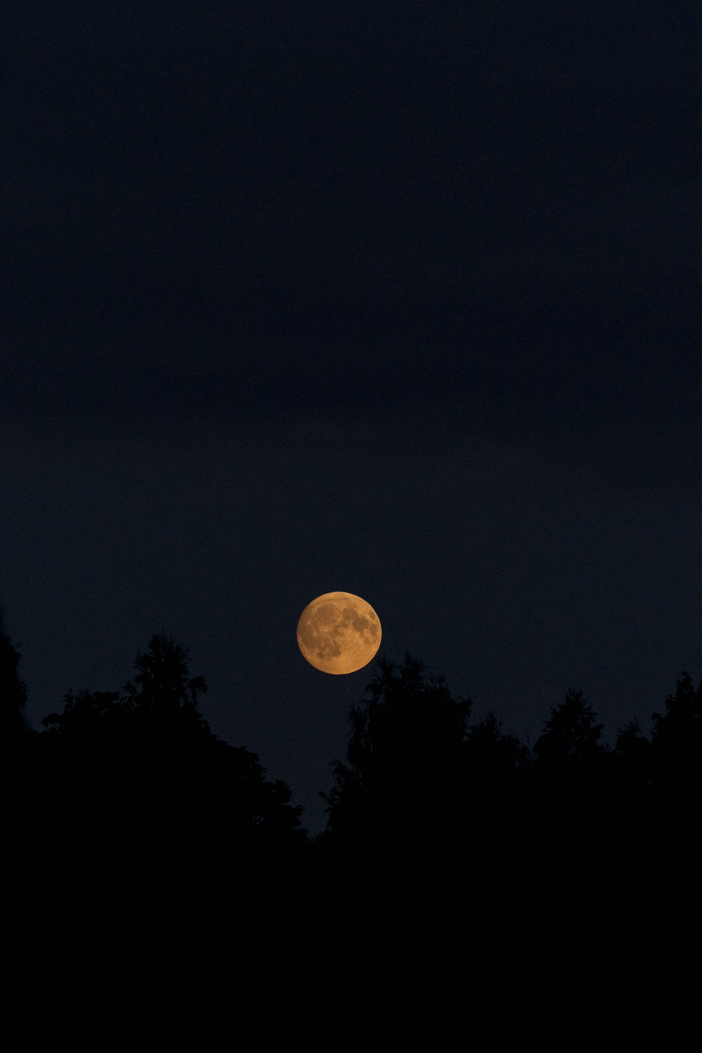 Wedding day Николай & Надежда. Свадебный фотограф Колесников Антон