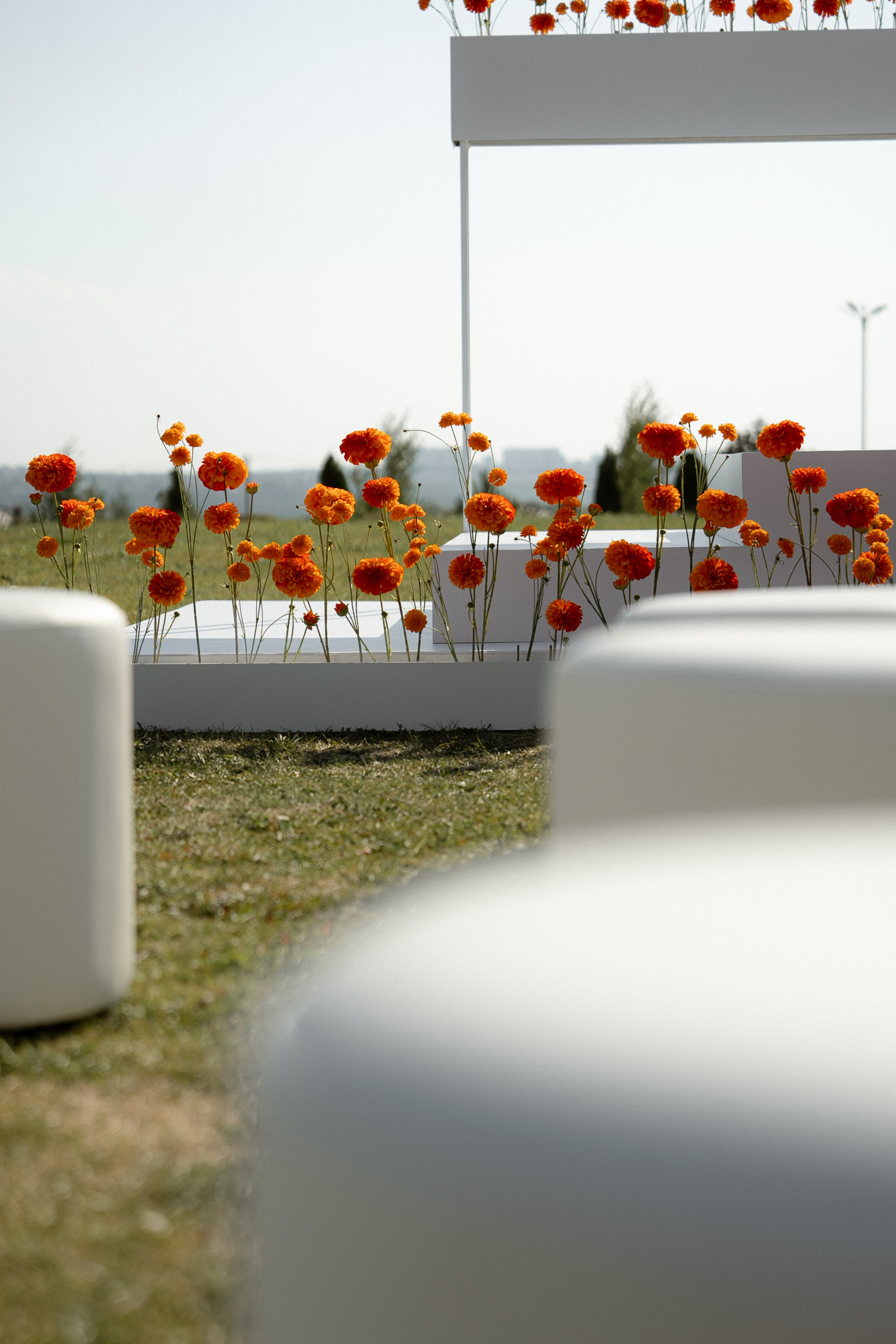 Гермес. Orange. Семейный и портретный фотограф в Саратове Сахарова Маша