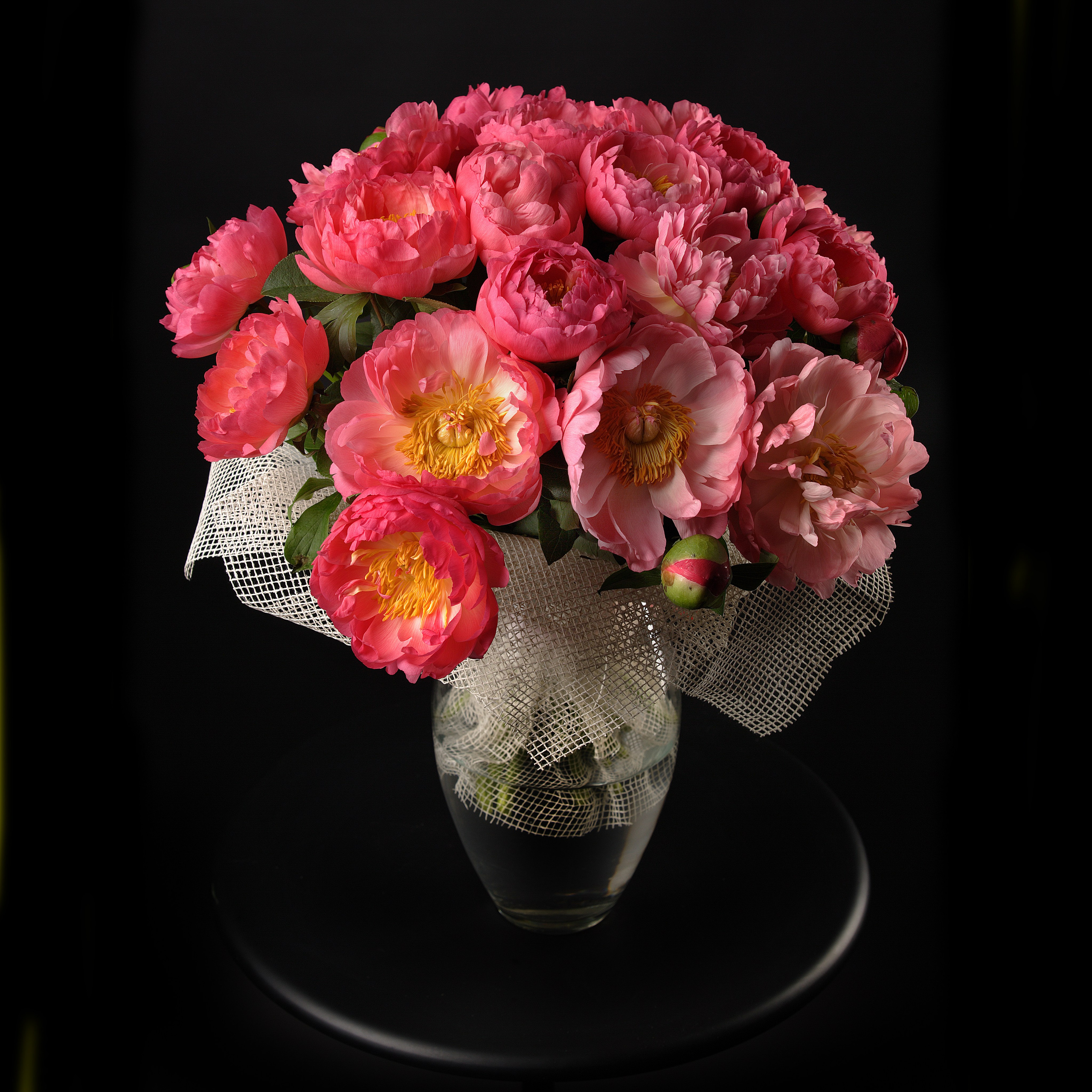 Цветы. Фотограф Мария Кольцова