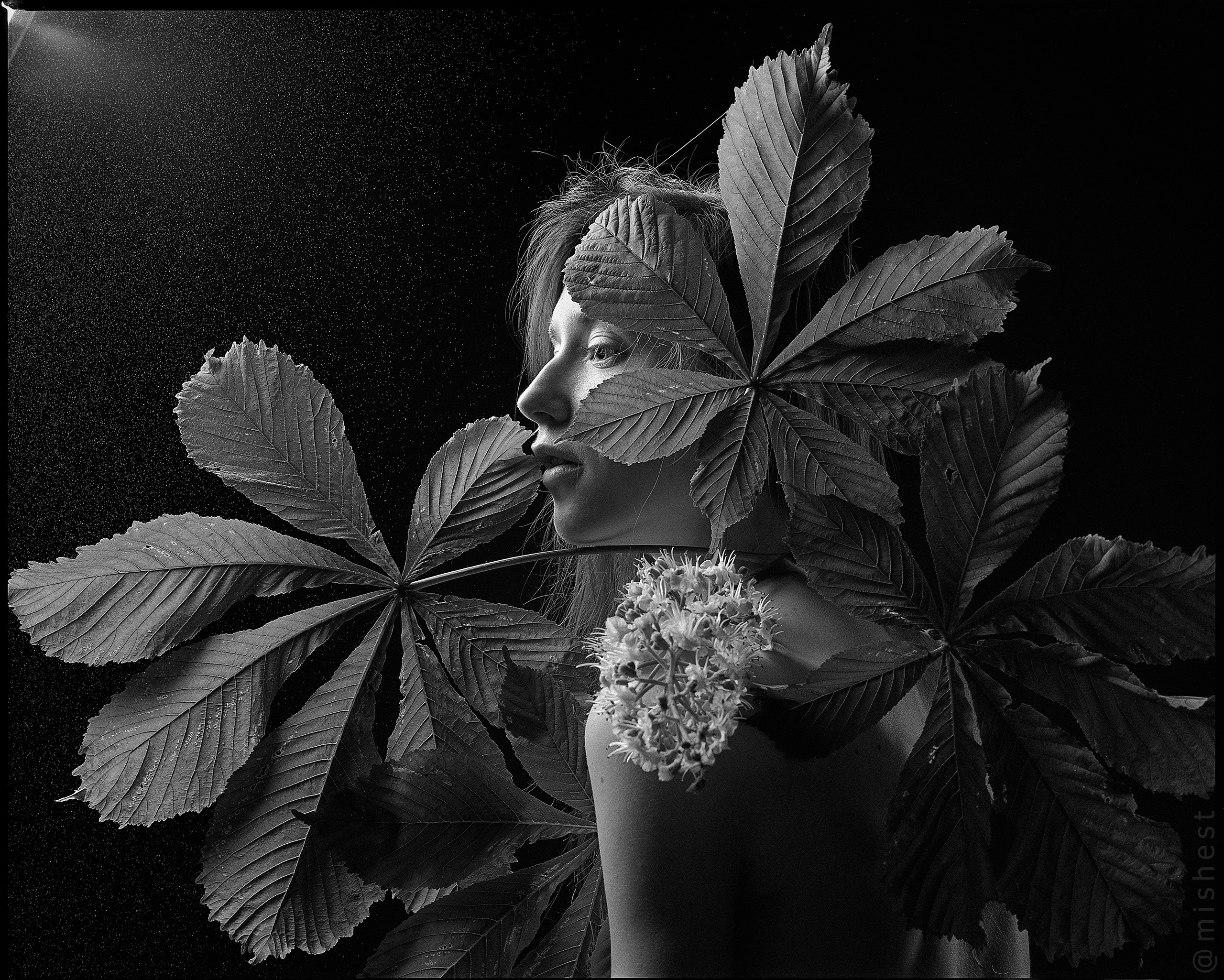 Михаил Шестаков