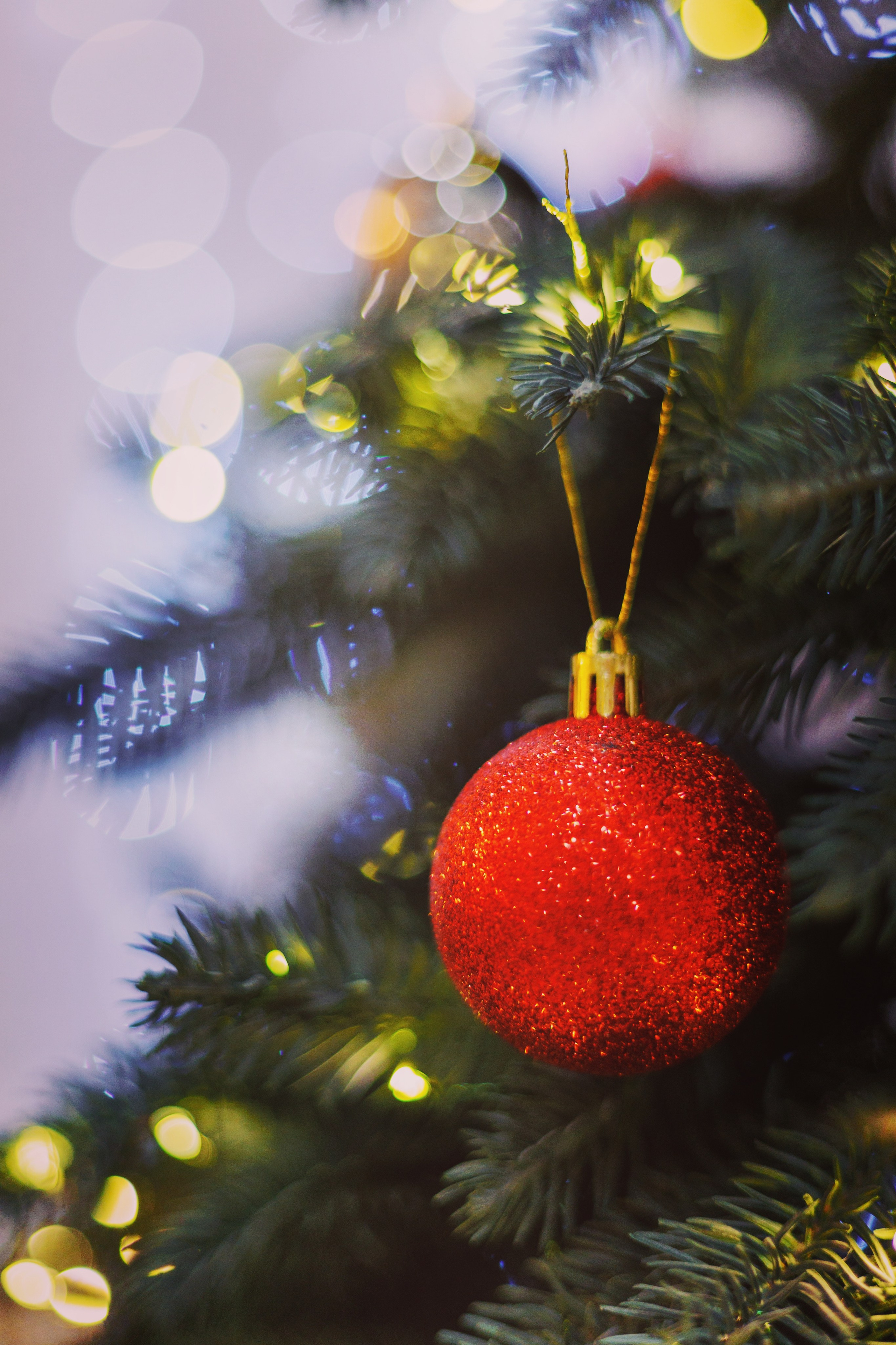 Новогодняя фотосессия. Фотограф Пятигорск Кисловодск КМВ — Олег Олди