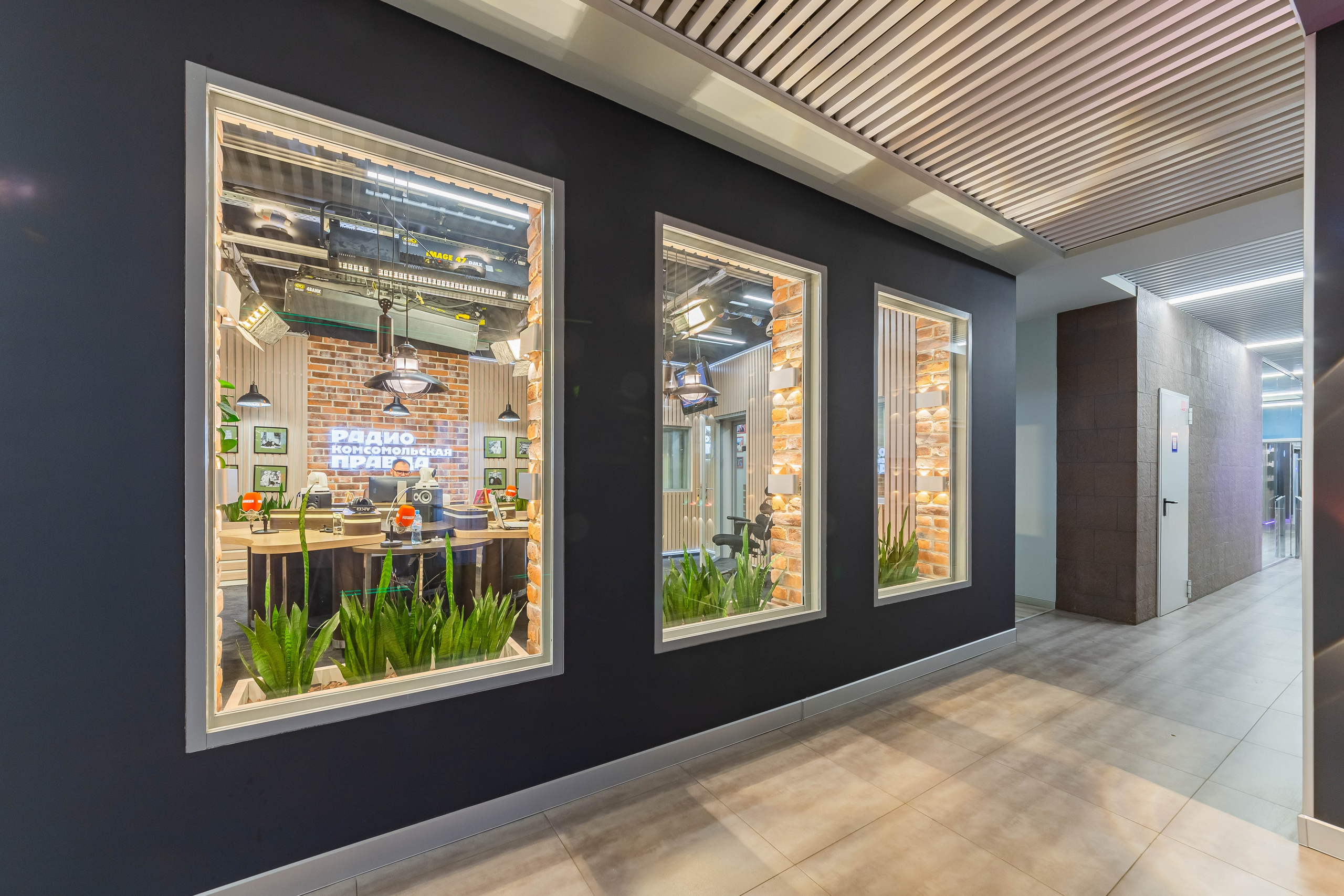 Сокол. Фотограф Лагутин Анатолий