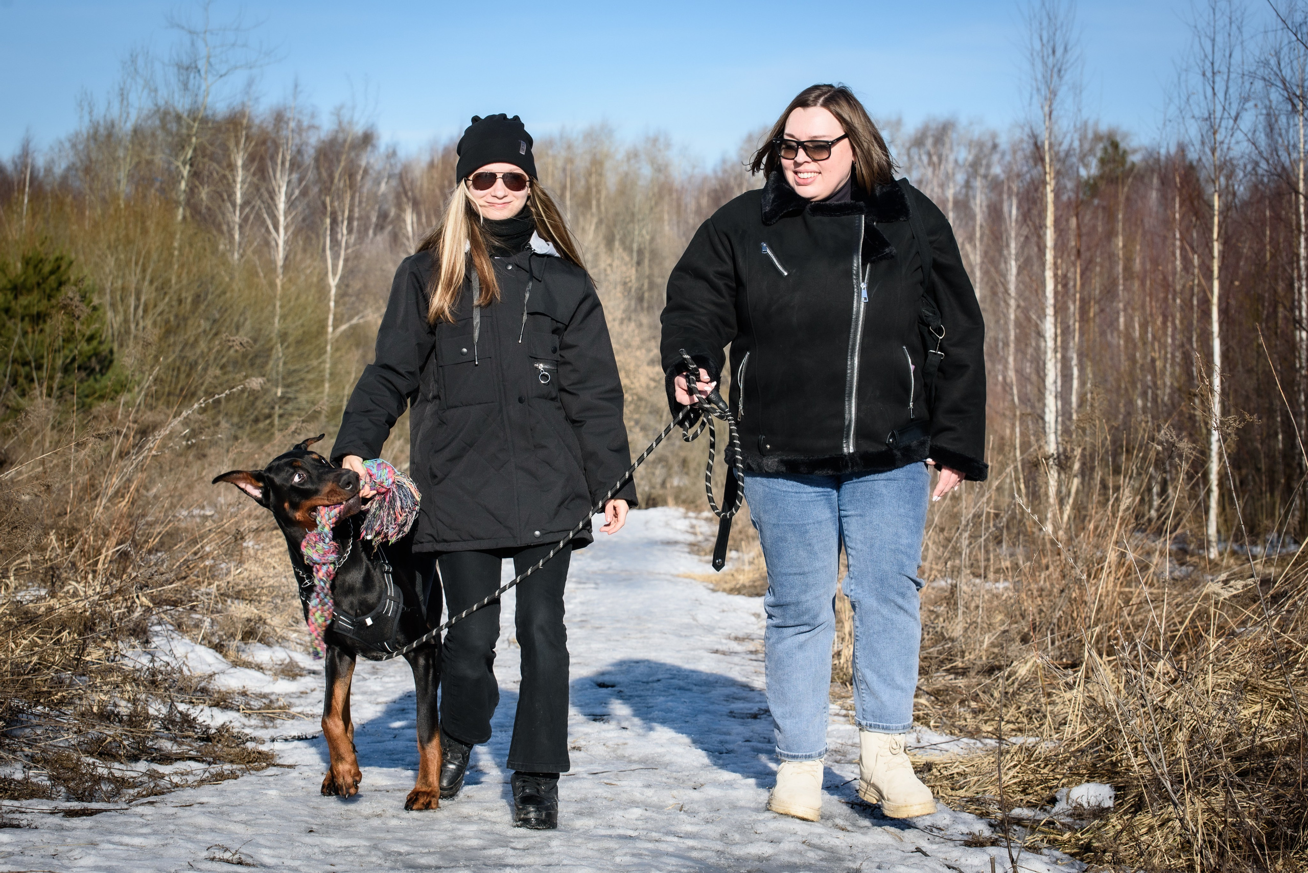 Фотосессию с любимчиком — доберманом. Фотограф Макс Огурцов в Нижнем Новгороде