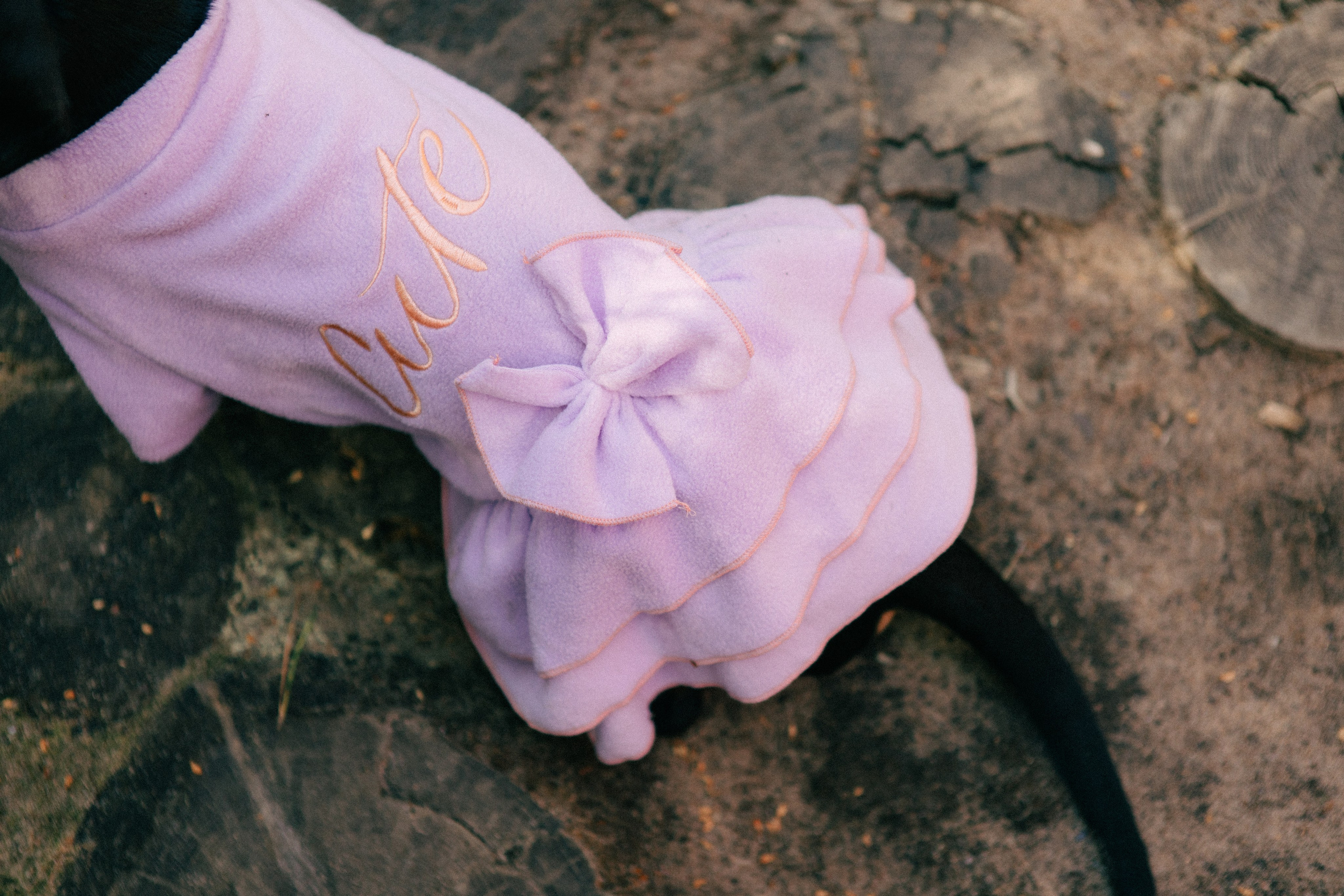 Репортаж. Фотограф в Санкт-Петербурге Ольга Андрианова