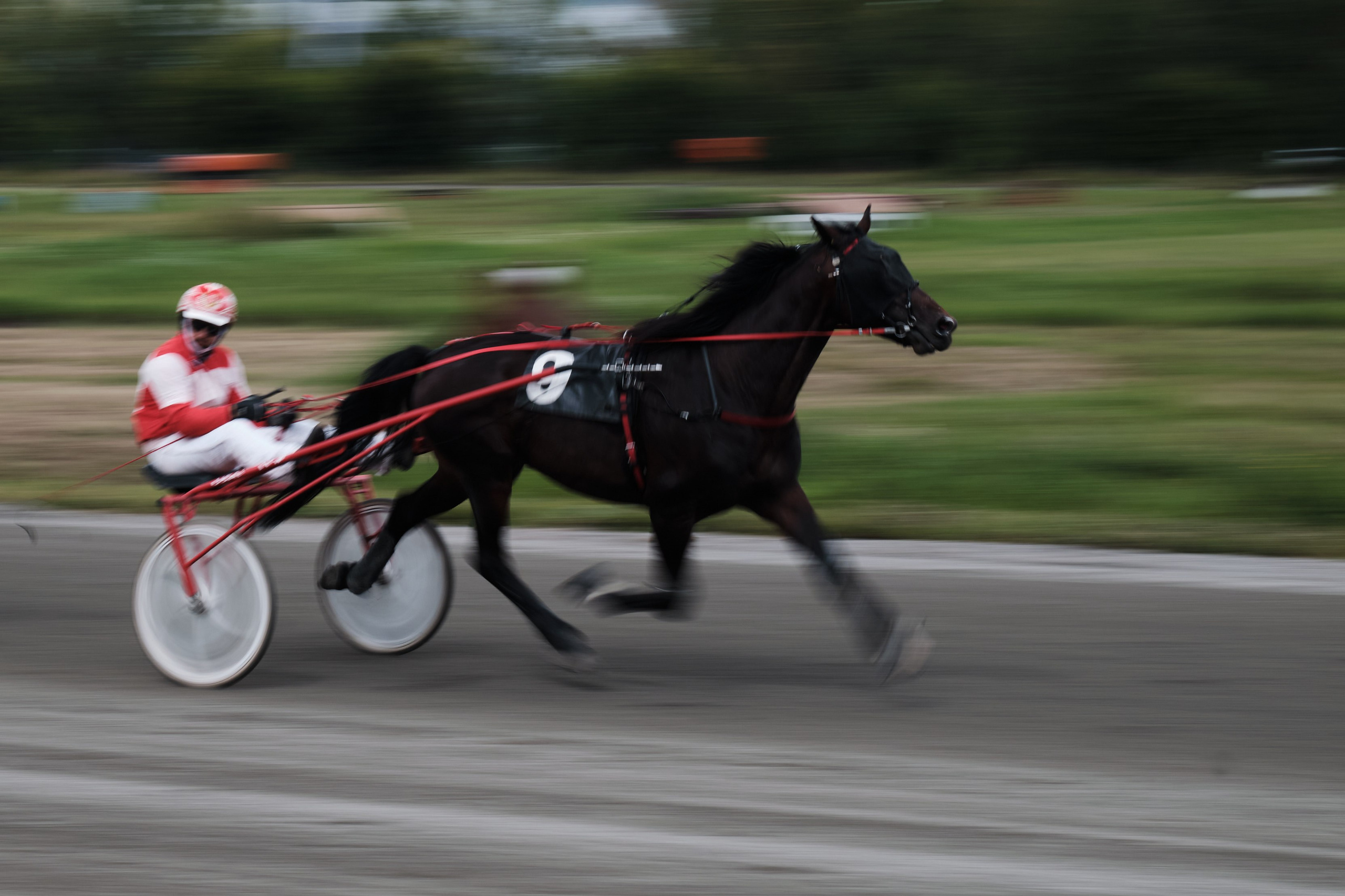 Ипподром. Goncharov Tim