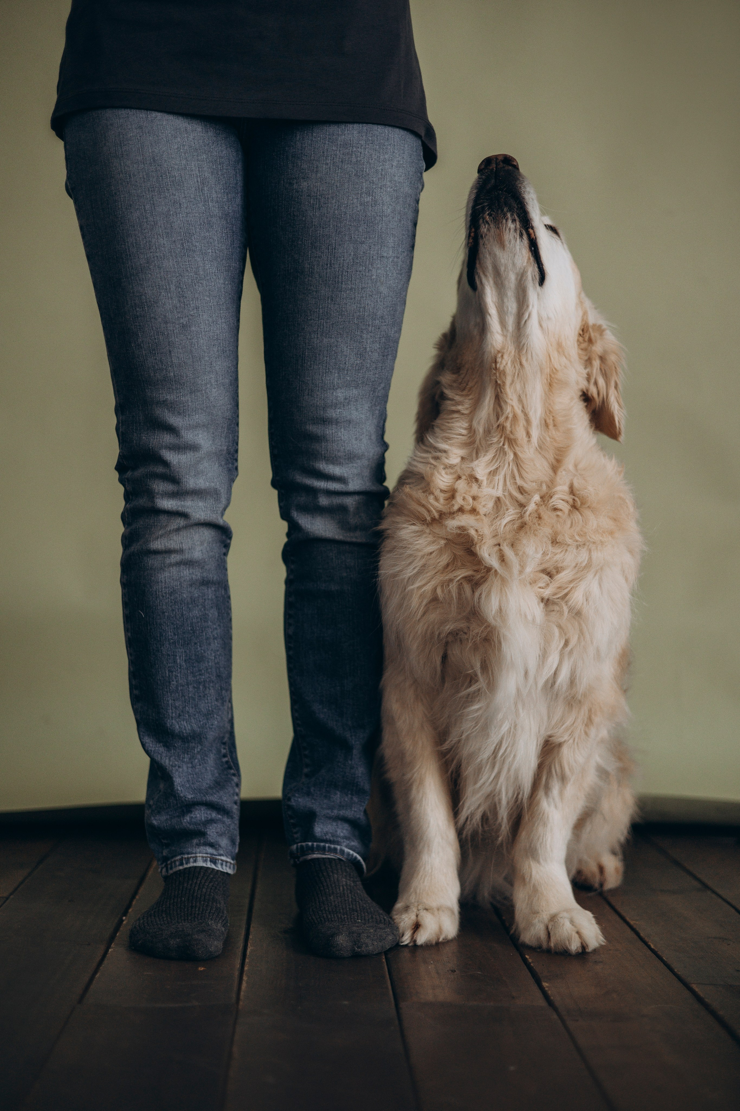 Ирина и Луна. Фотограф — Анималист | Санкт-Петербург