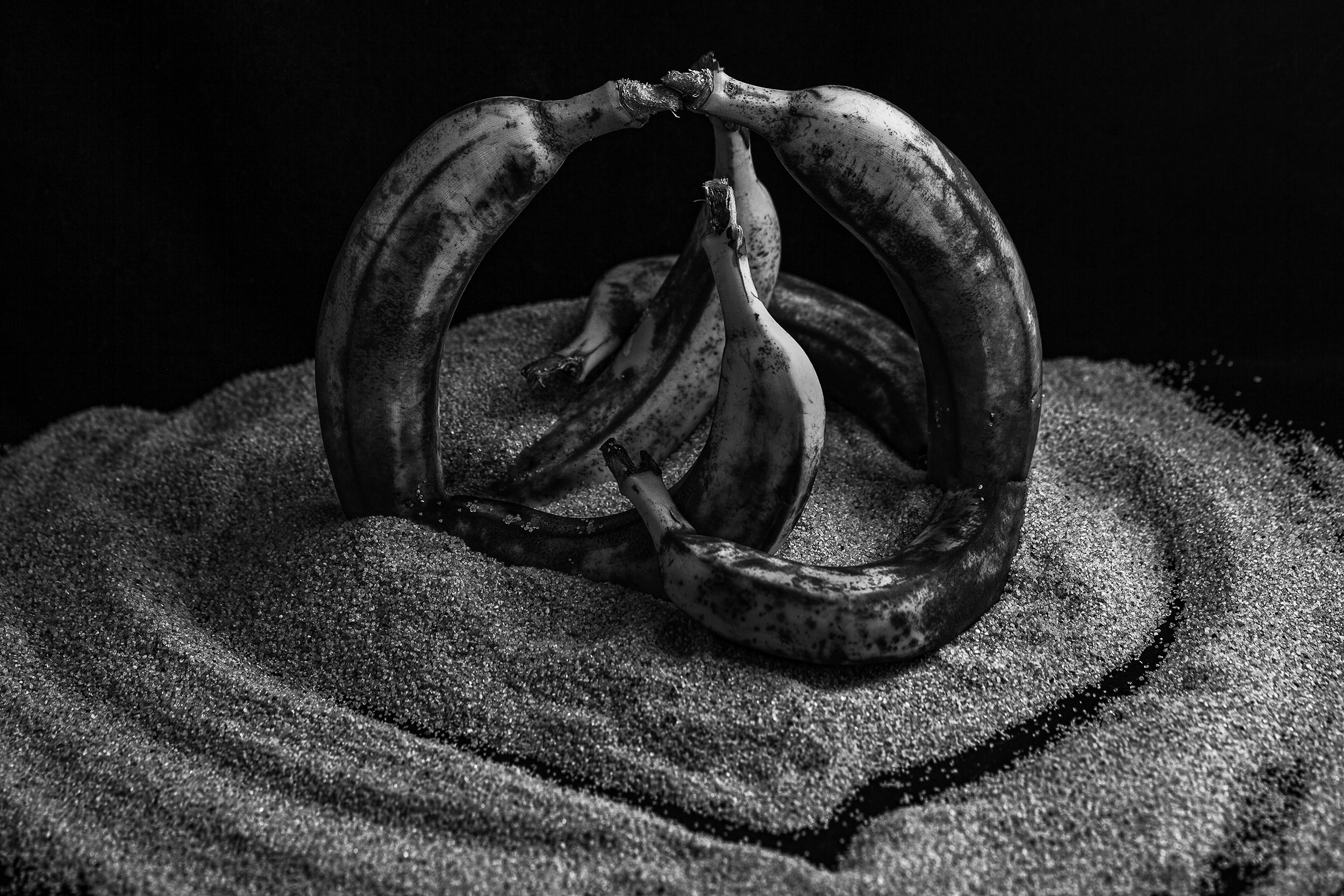 Красота тоже рядом с нами. Медиапродюсер, фотограф в Минеральных Водах —Виктор Холодов