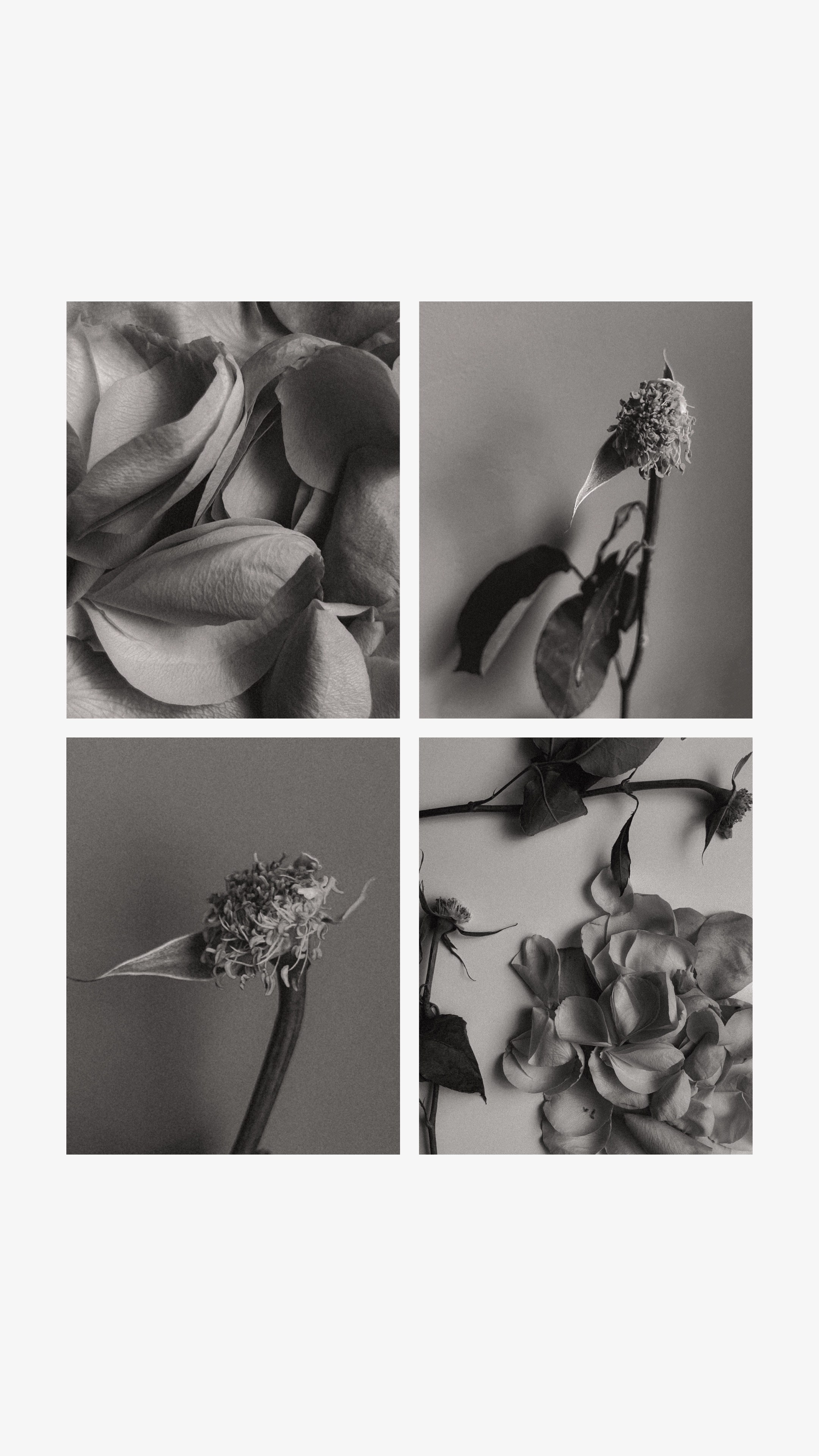 МОИМИ ГЛАЗАМИ. Nuga_visual