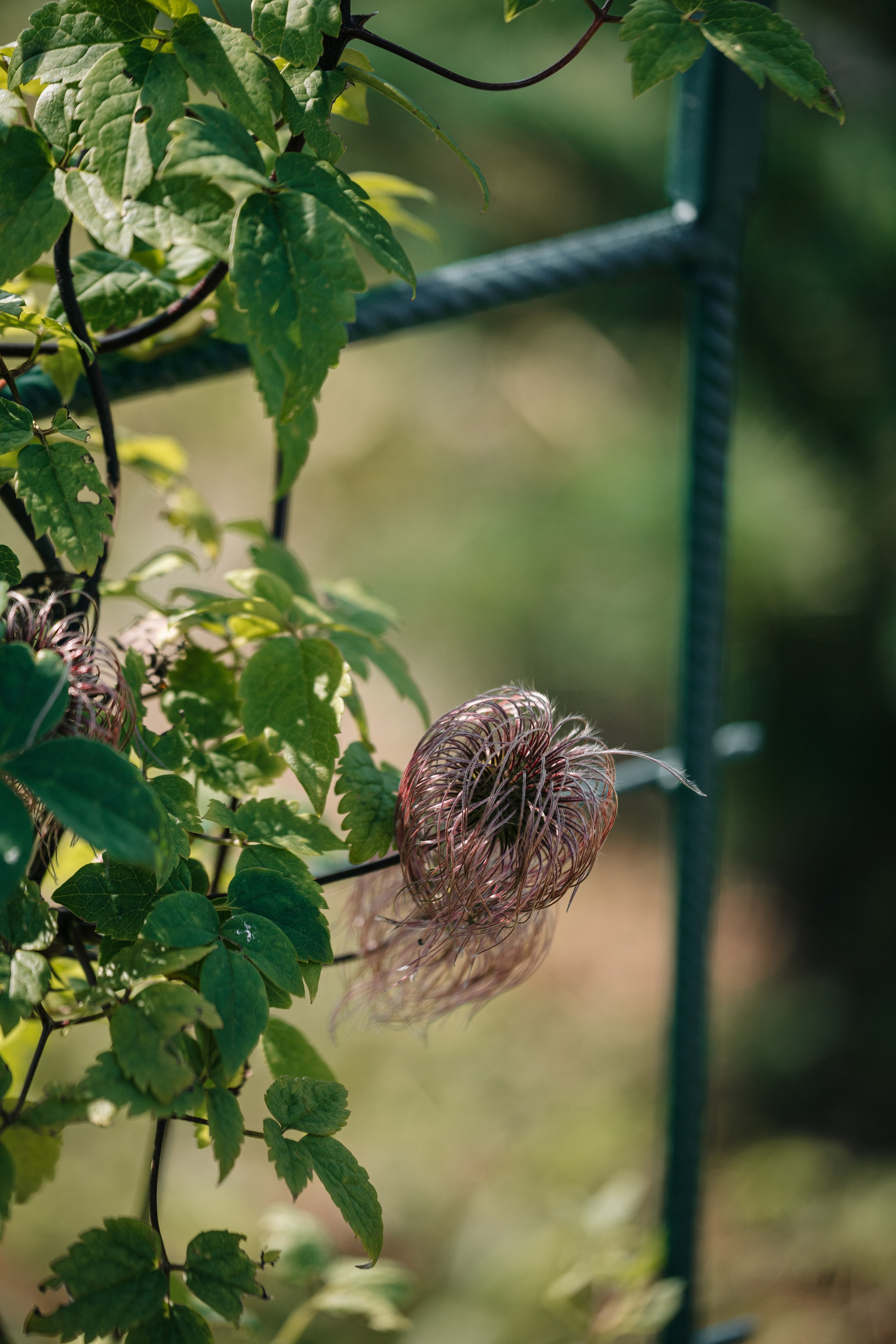 Ландшафтный дизайн. Главная