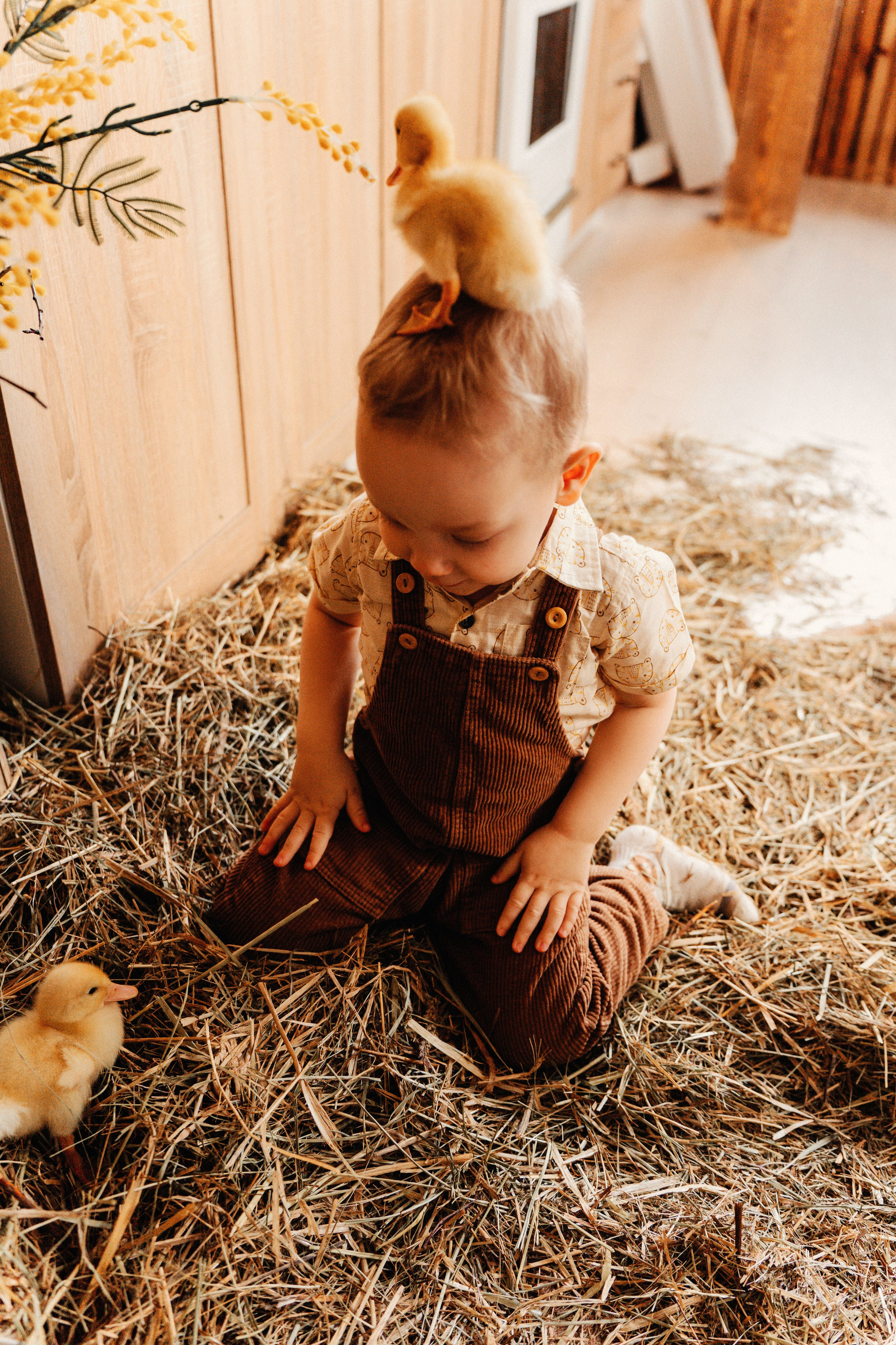 Пасхальная фотосессия. Ваш семейный фотограф в Минске — Вика Трегубова