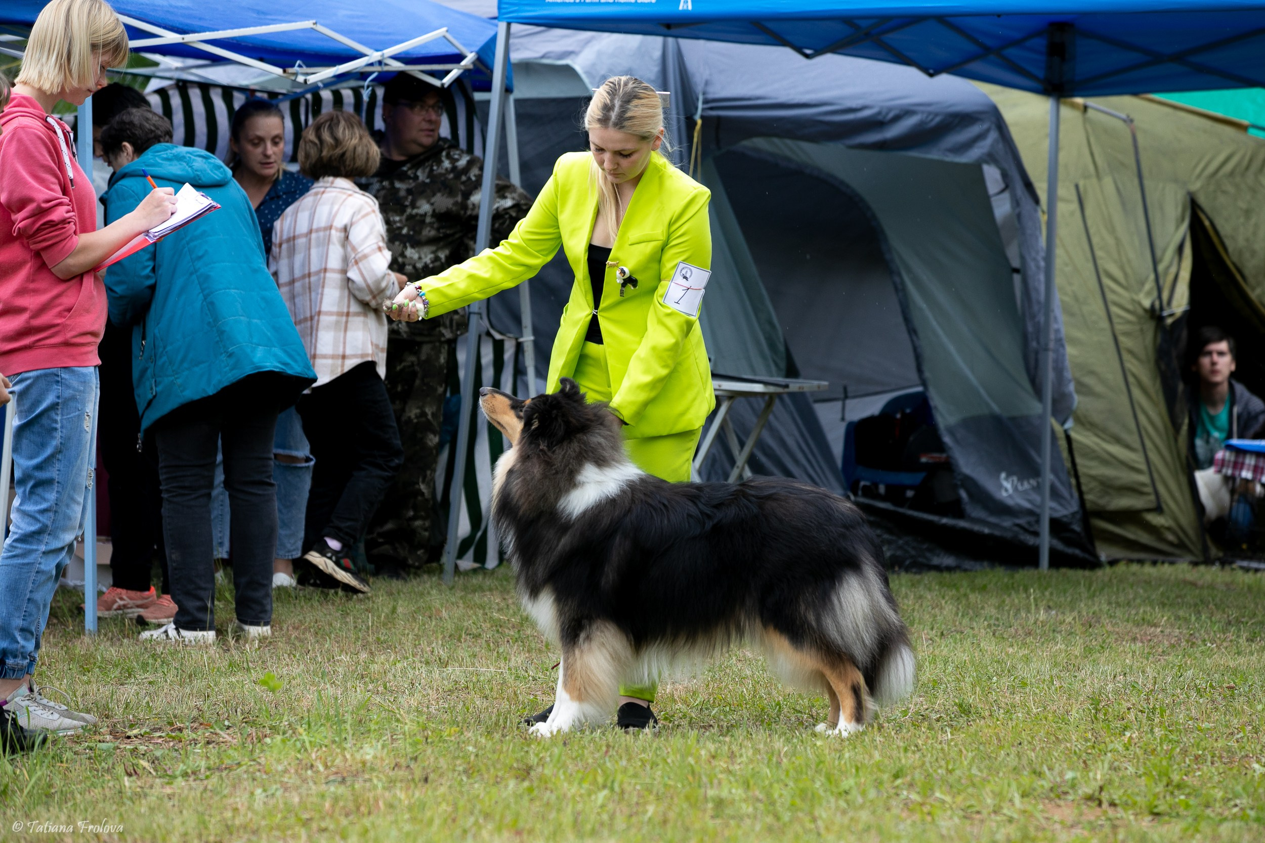 Фотосопровождение выставки собак в Московской области и Москве. Фотограф-анималист в Москве и Московской области Татьяна Фролова