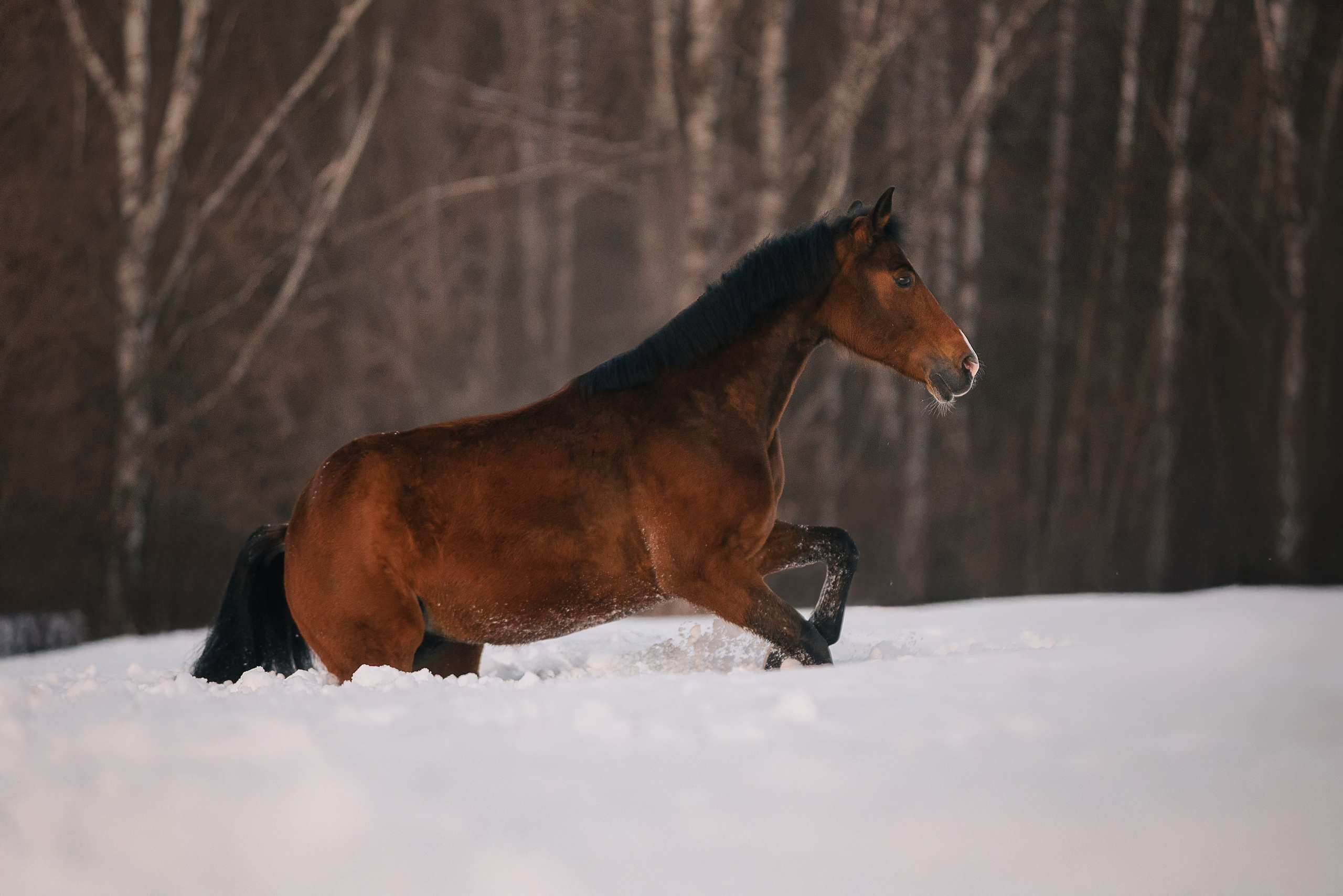 Кантри Клаб. Фотограф Анна Тюрина