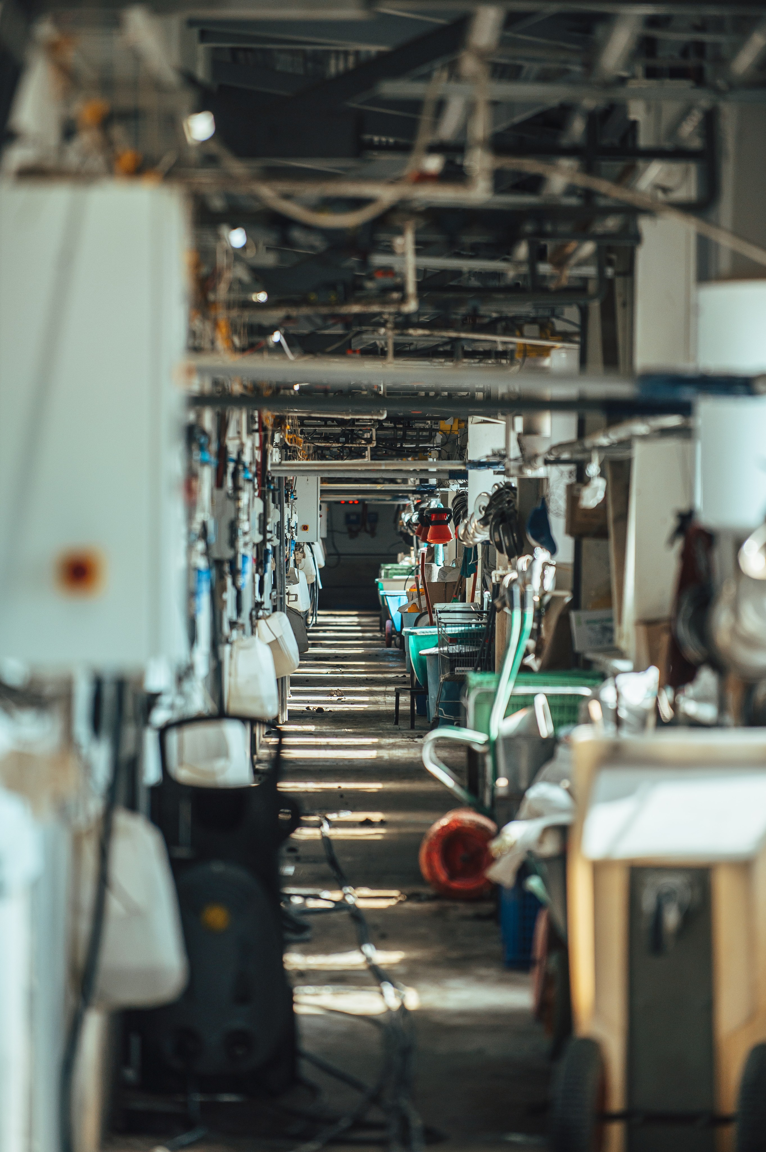 Свинокомплекс «СИБАГРО». Свадебная и концептуальная фотография в городе Улан-Удэ