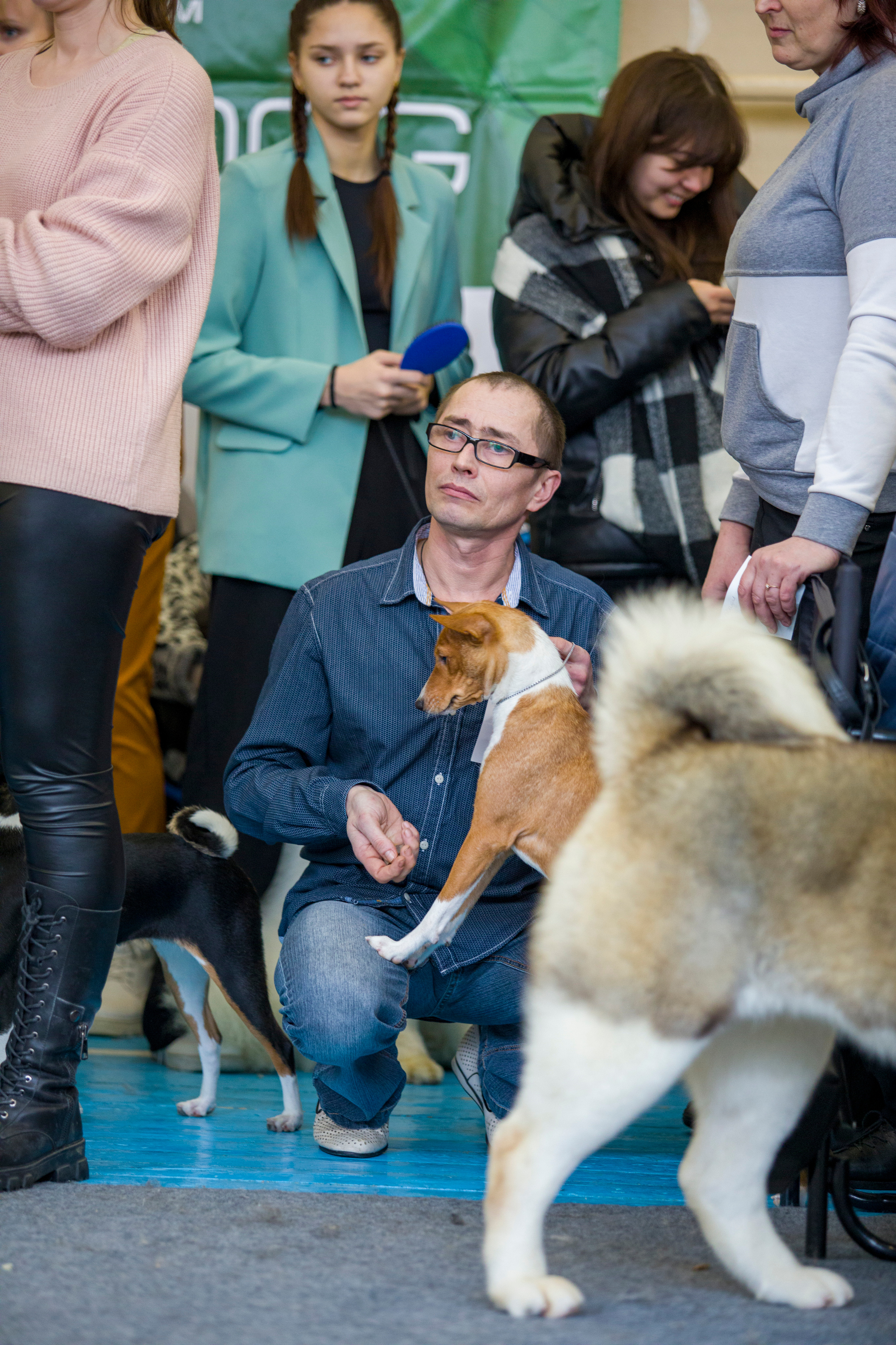 Выставки. Фотограф — анималист Татьяна Ли