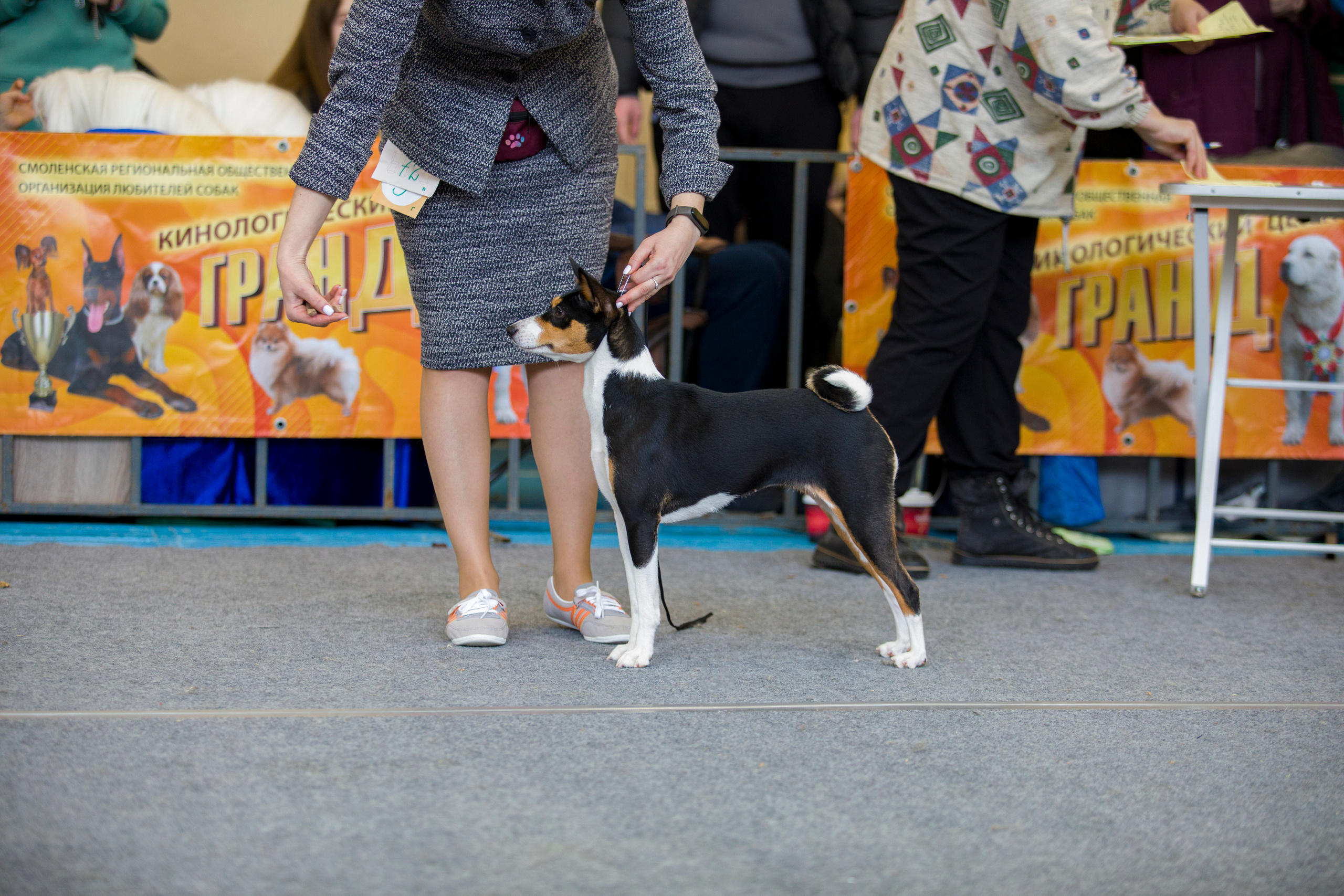 Выставки. Фотограф — анималист Татьяна Ли