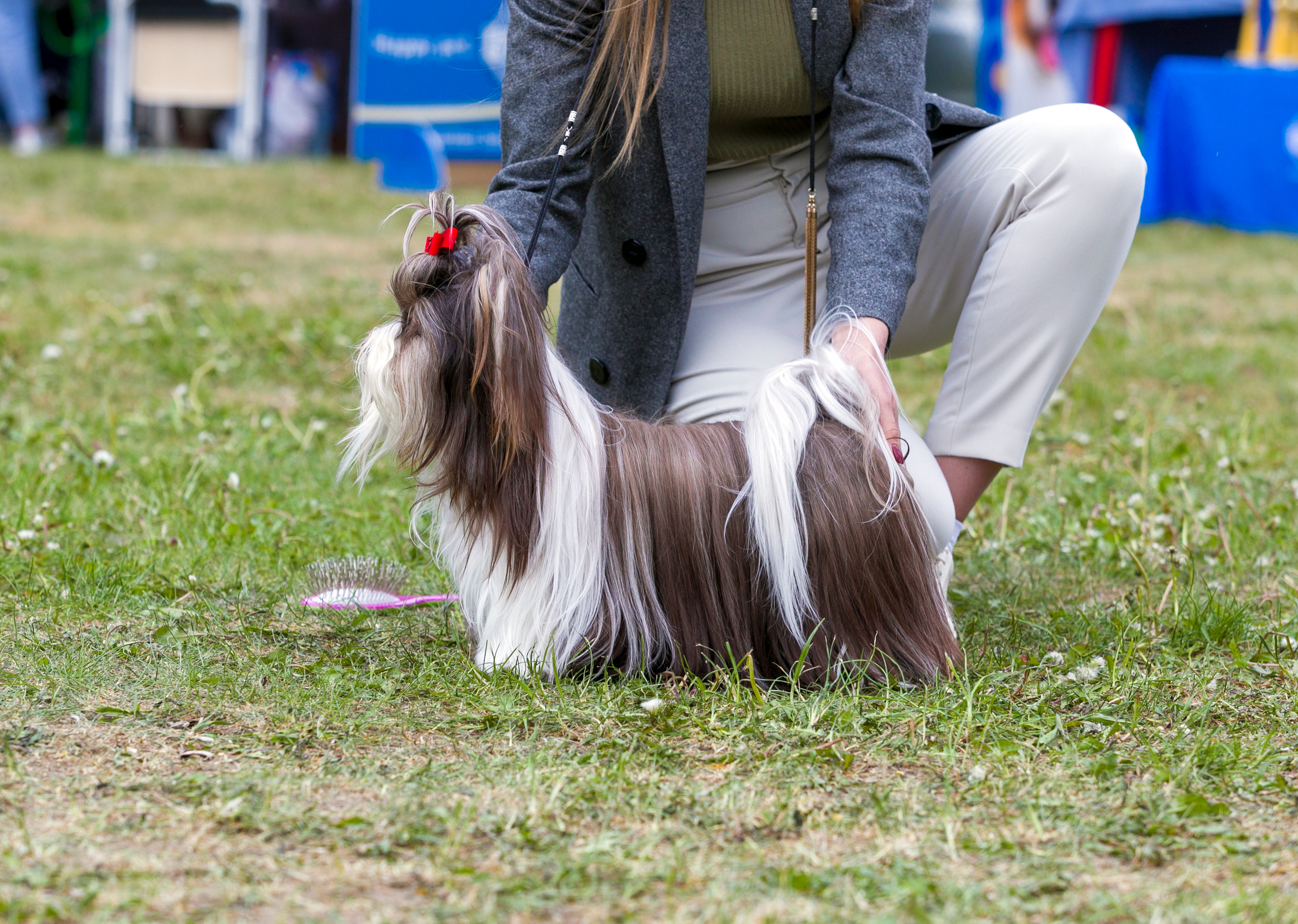 Выставки. Фотограф — анималист Татьяна Ли