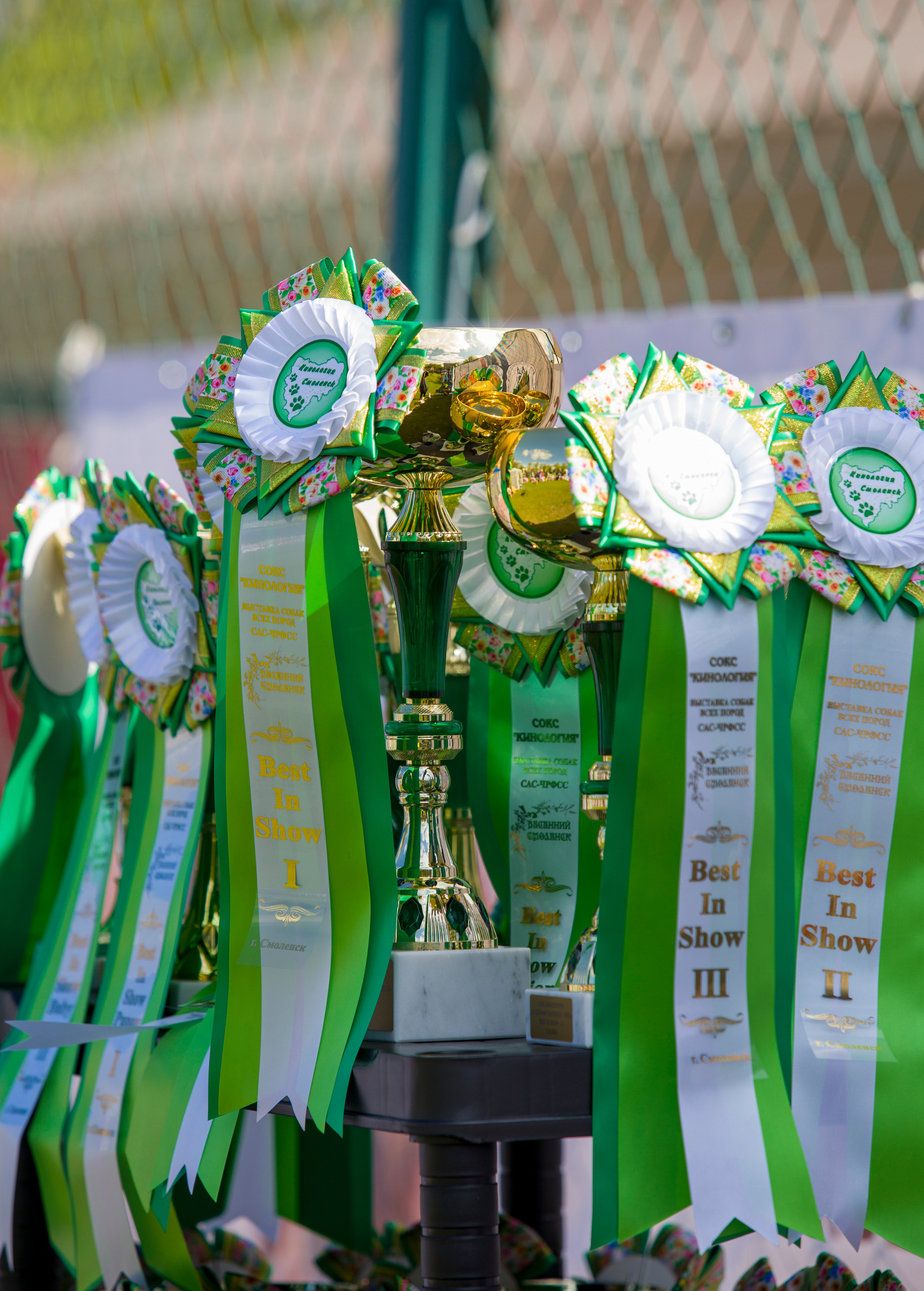 Фотограф — анималист Татьяна Ли