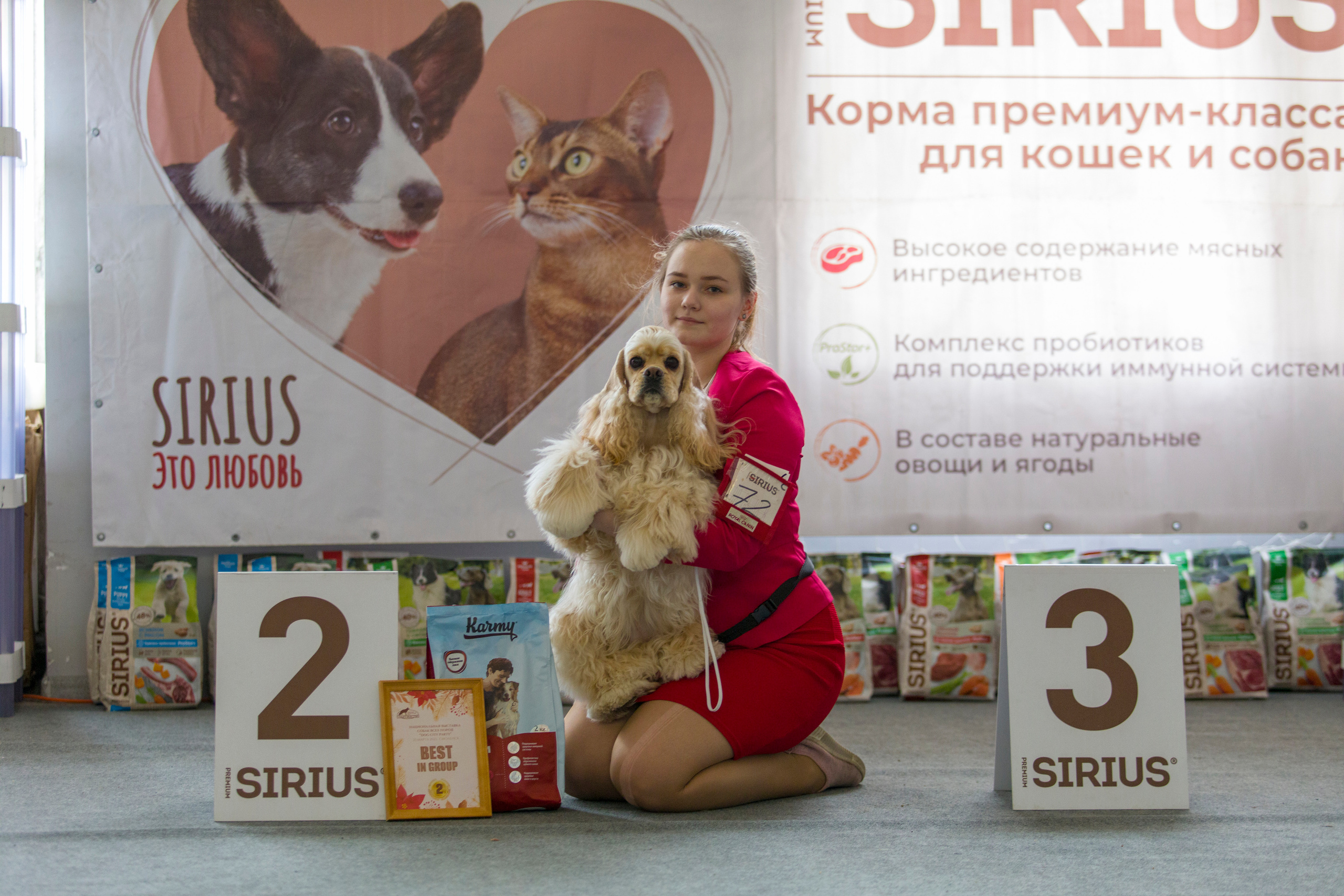 Выставки. Фотограф — анималист Татьяна Ли