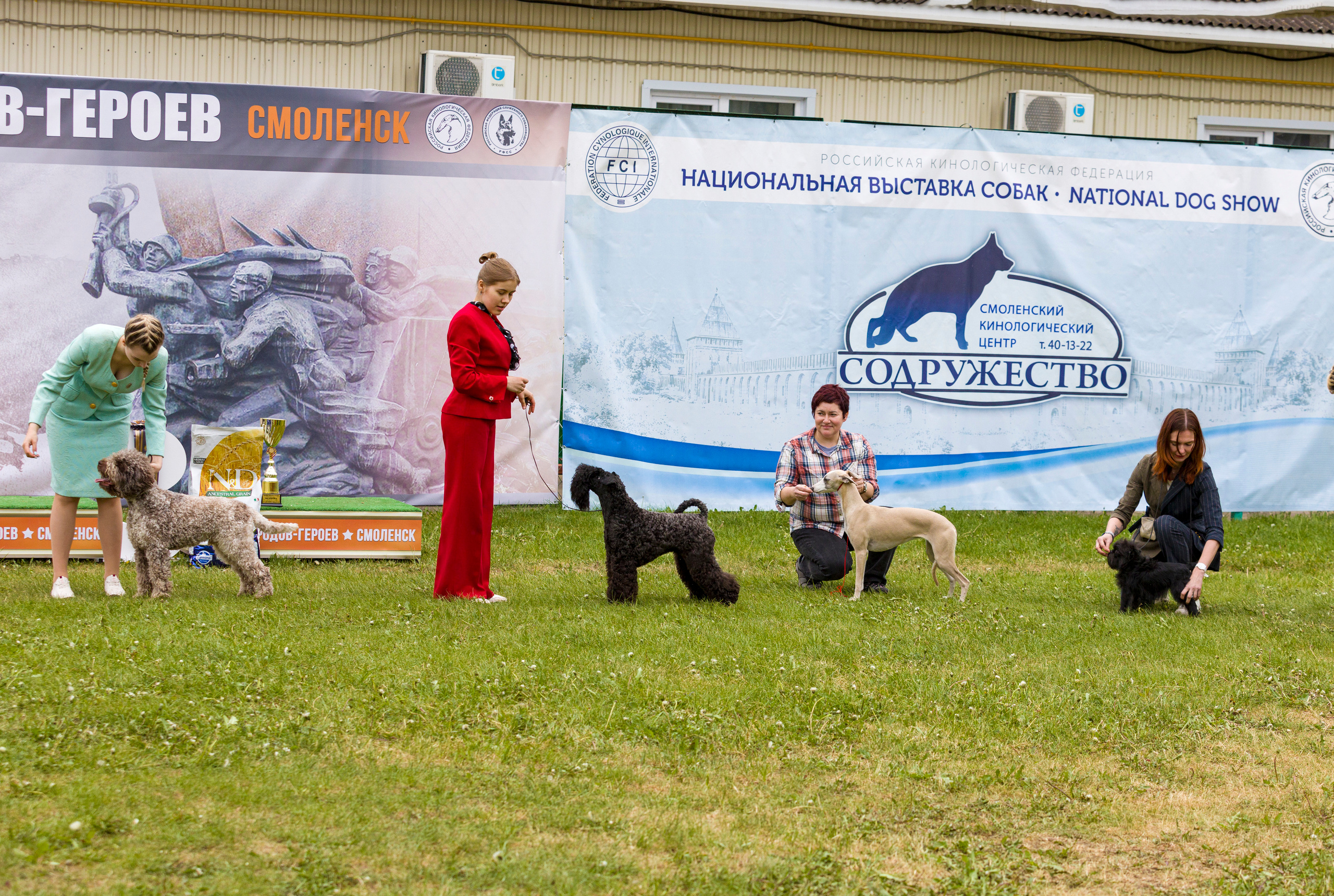 Выставки. Фотограф — анималист Татьяна Ли