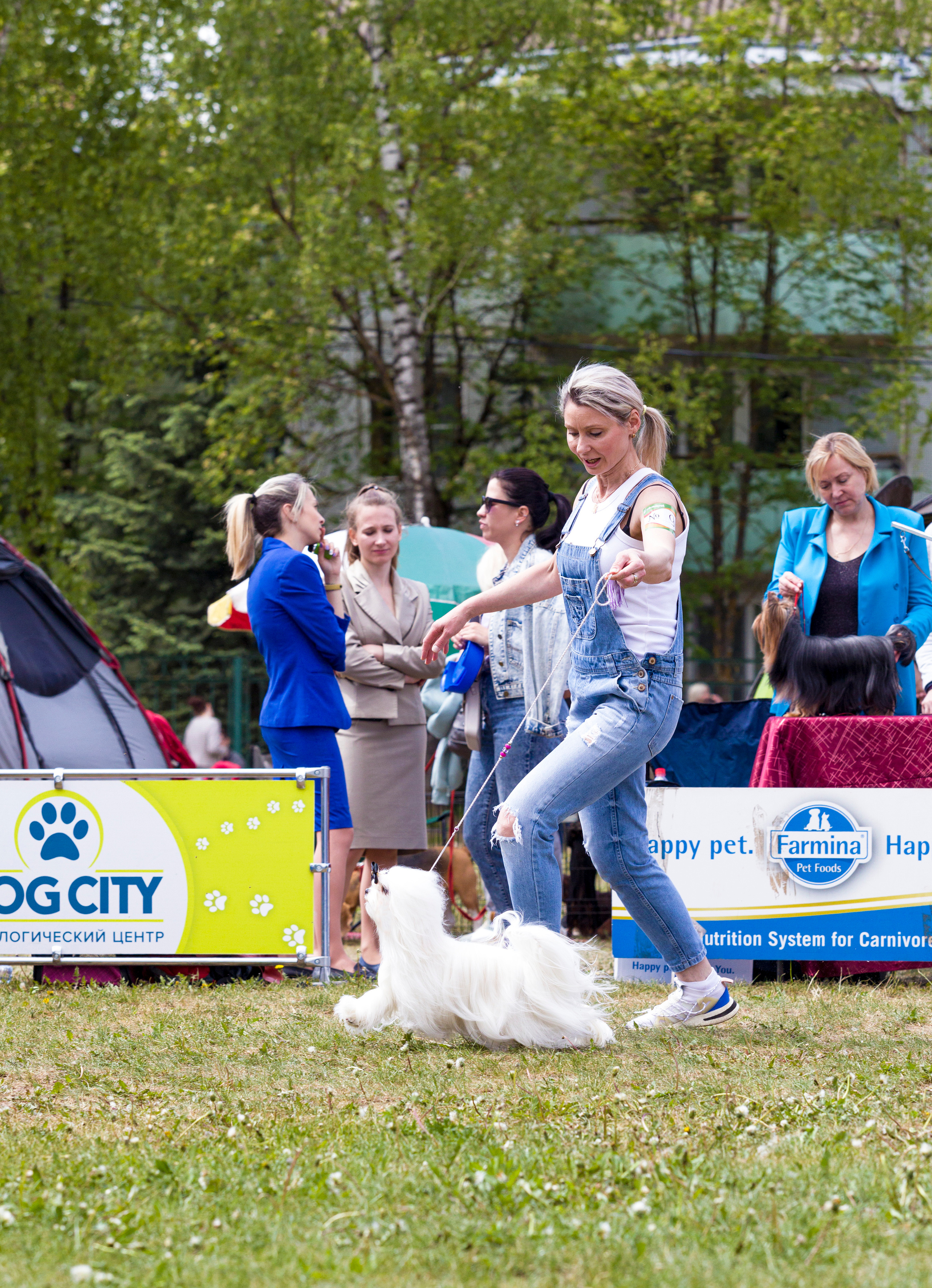 Выставки. Фотограф — анималист Татьяна Ли