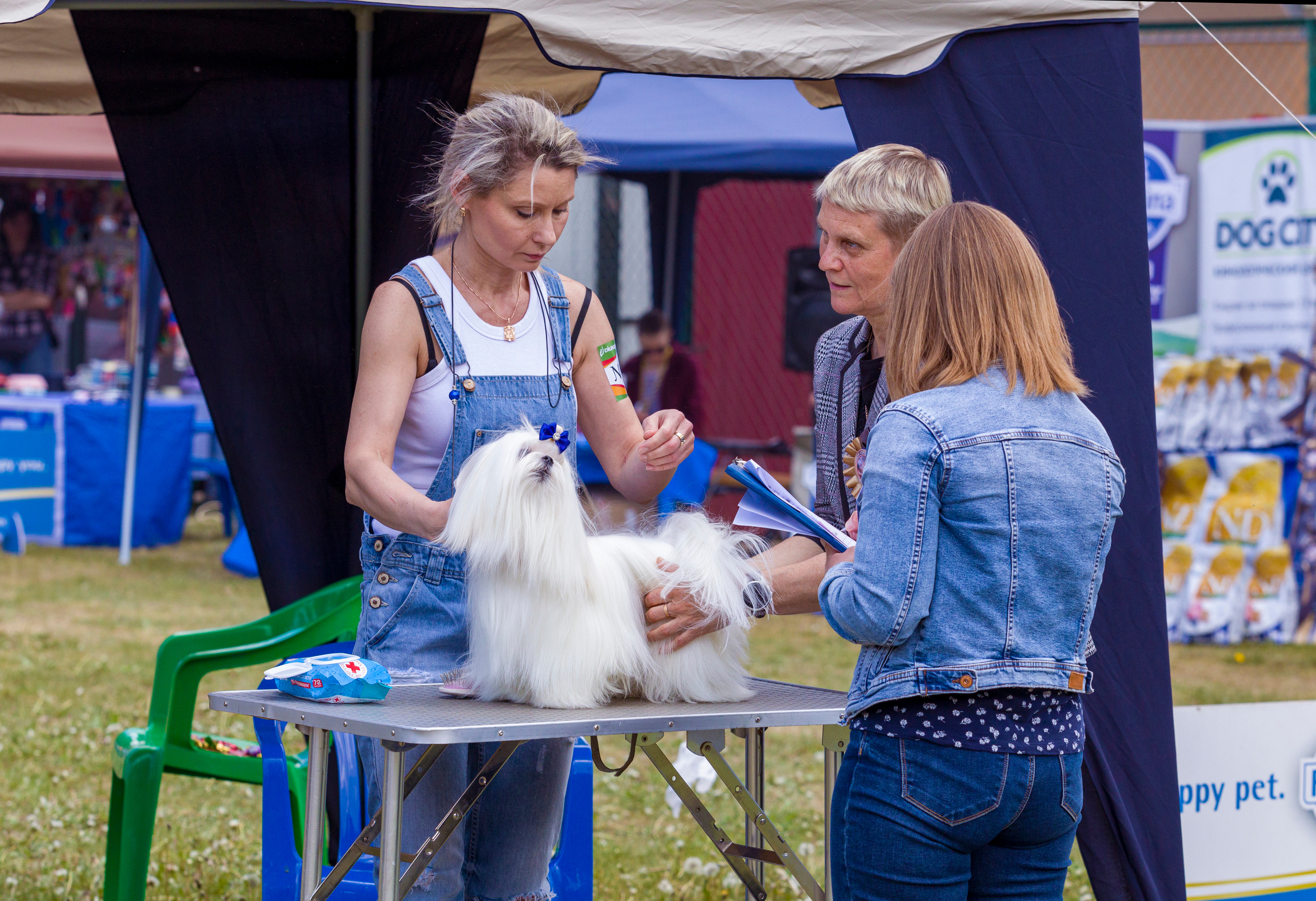 Выставки. Фотограф — анималист Татьяна Ли