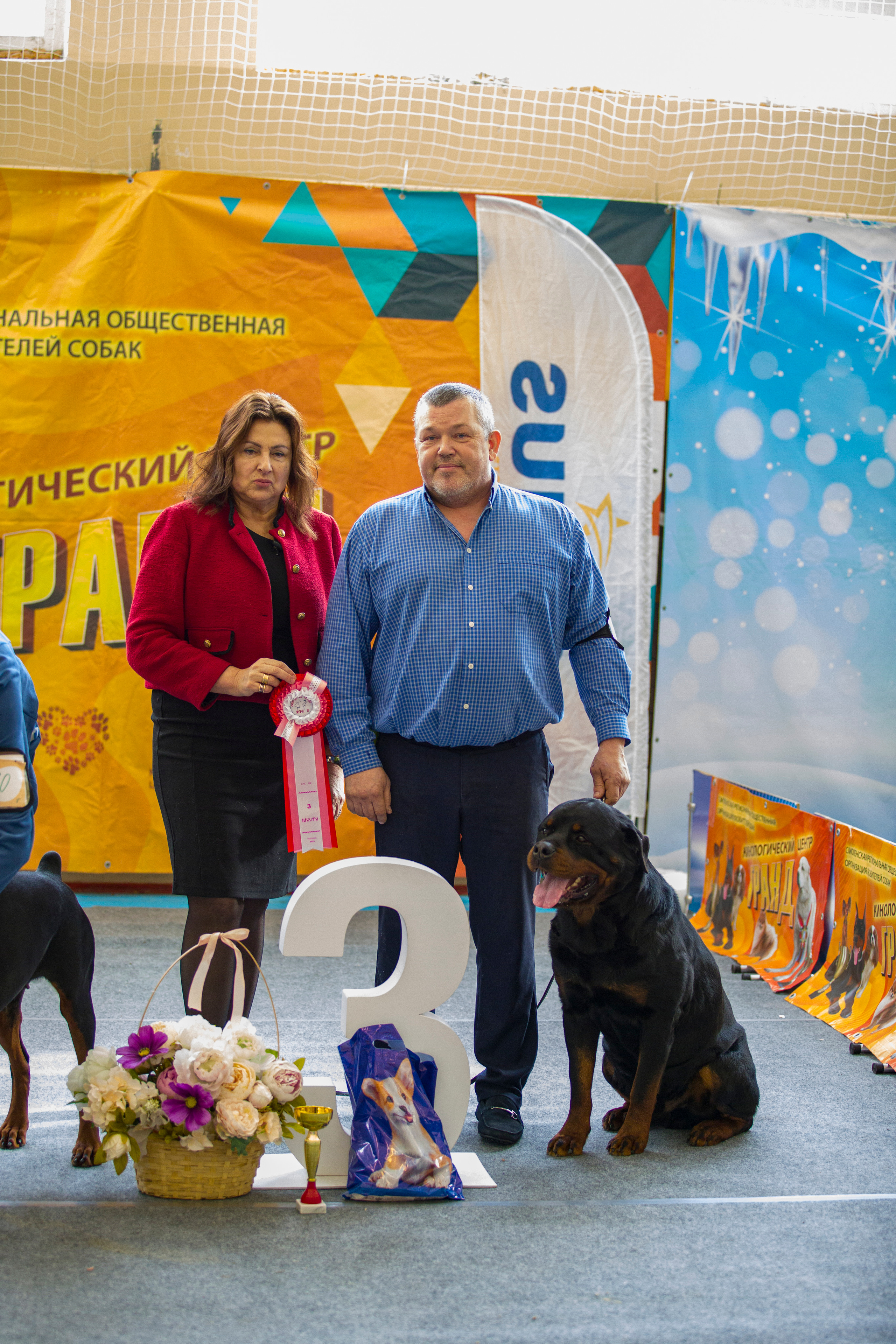 Выставки. Фотограф — анималист Татьяна Ли