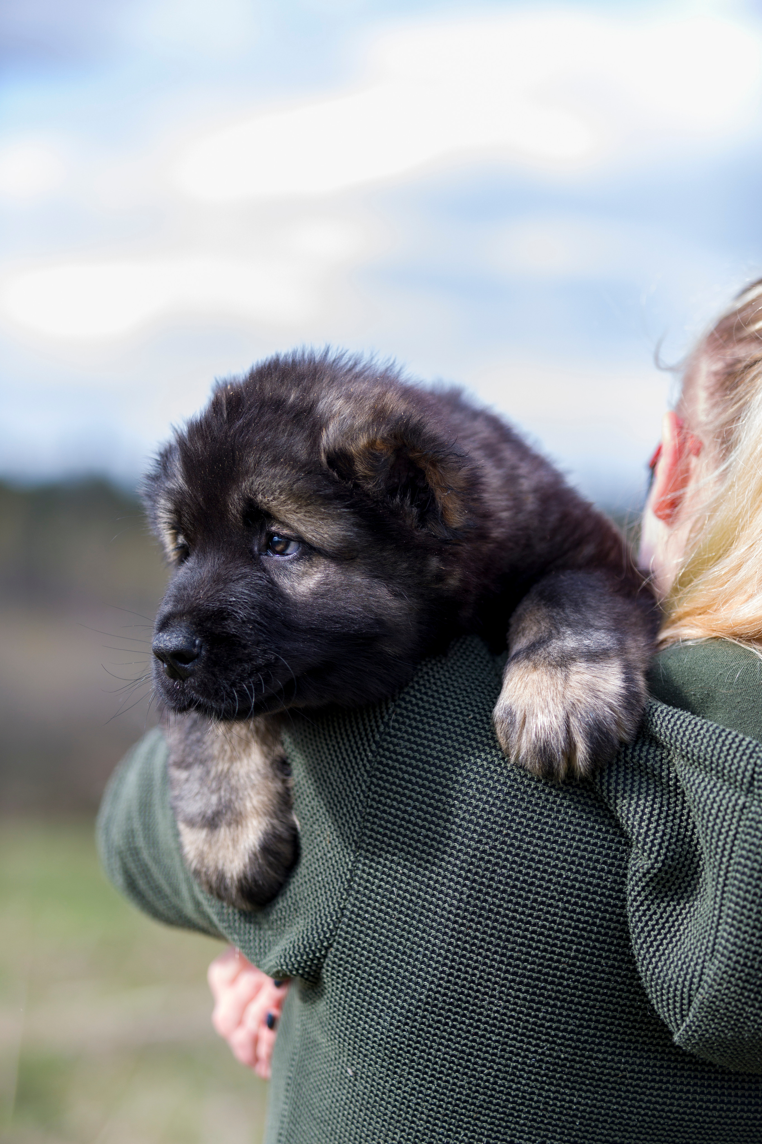 Фотограф — анималист Татьяна Ли