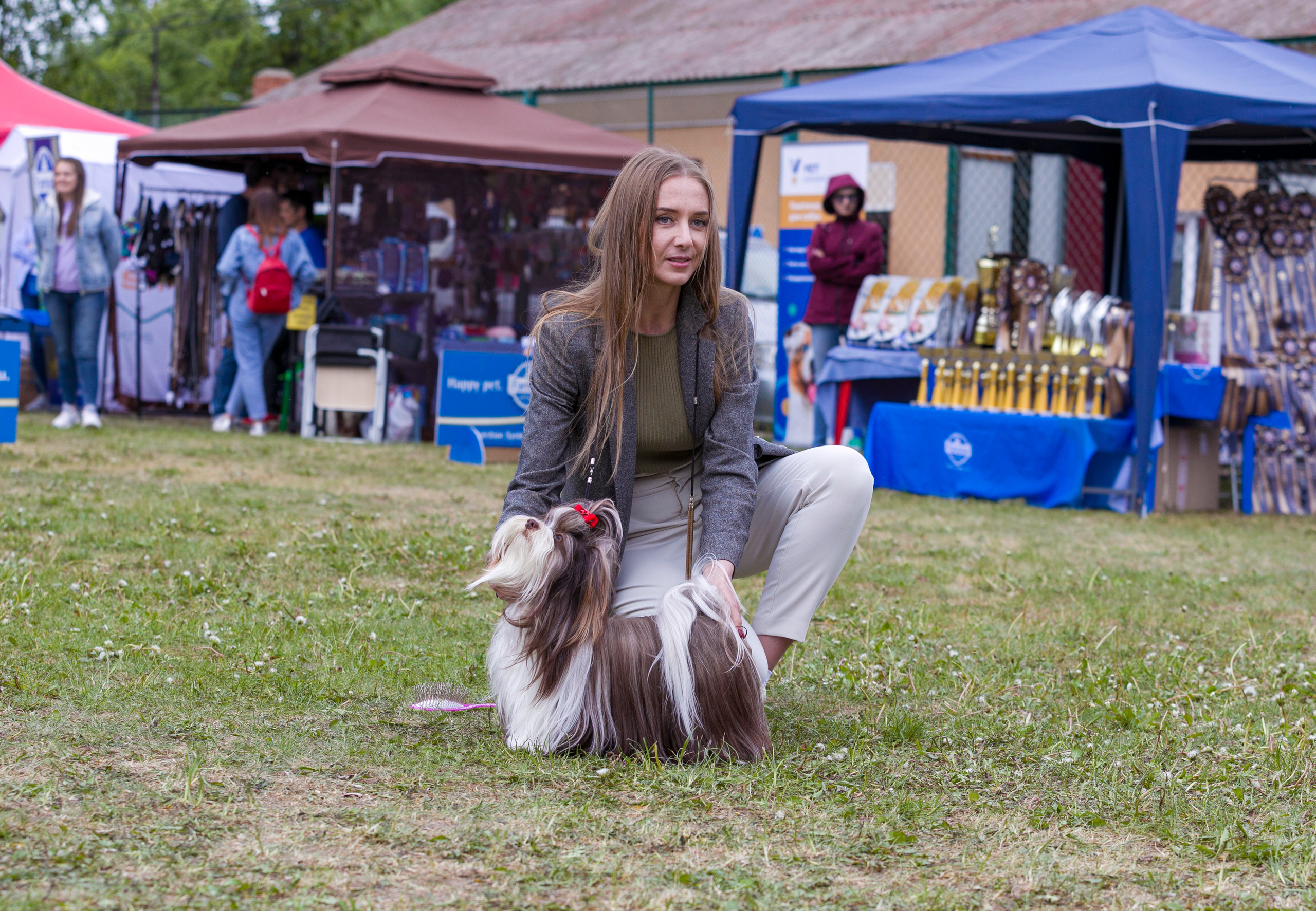 Выставки. Фотограф — анималист Татьяна Ли