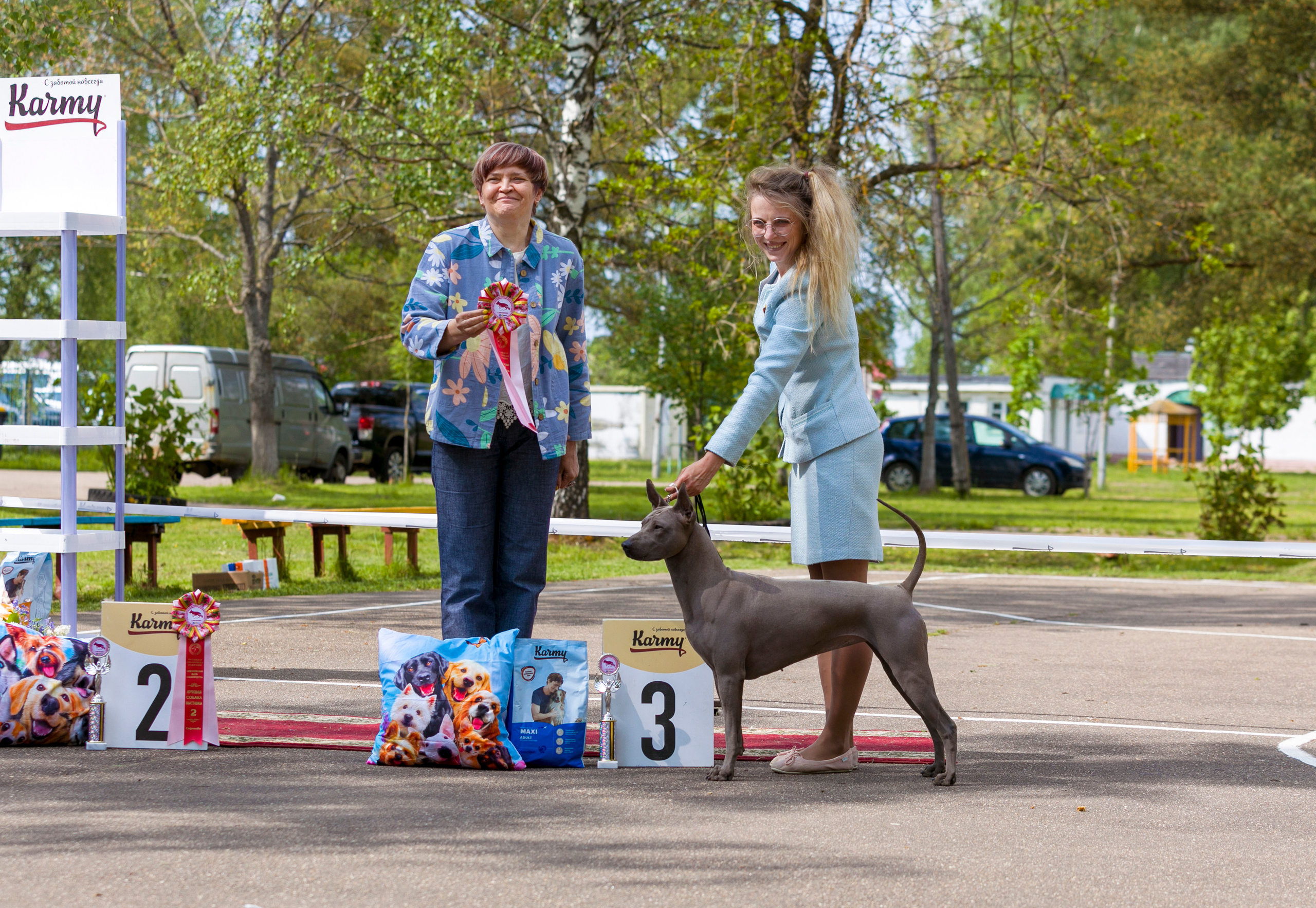 Выставки. Фотограф — анималист Татьяна Ли