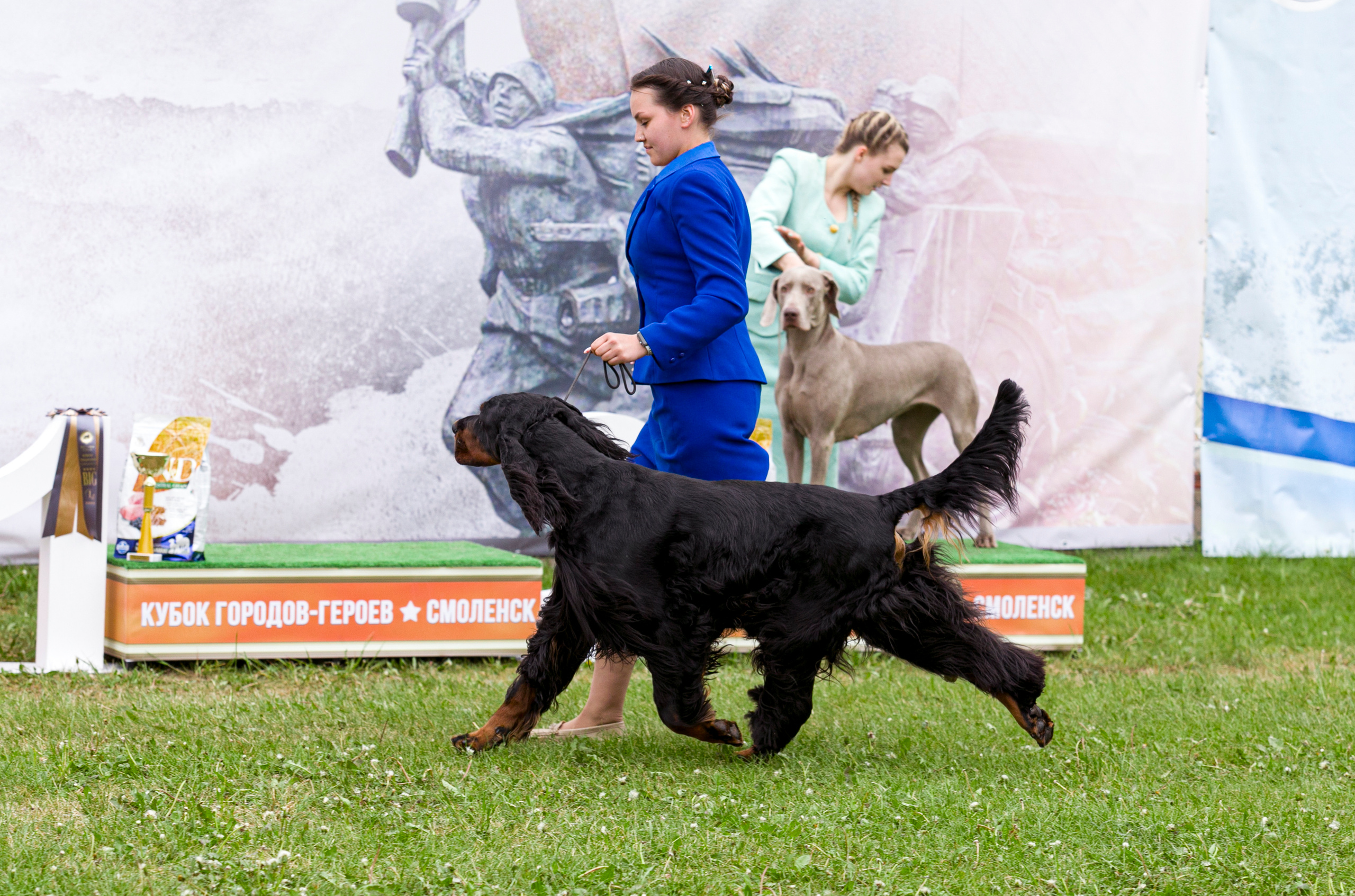 Фотограф — анималист Татьяна Ли