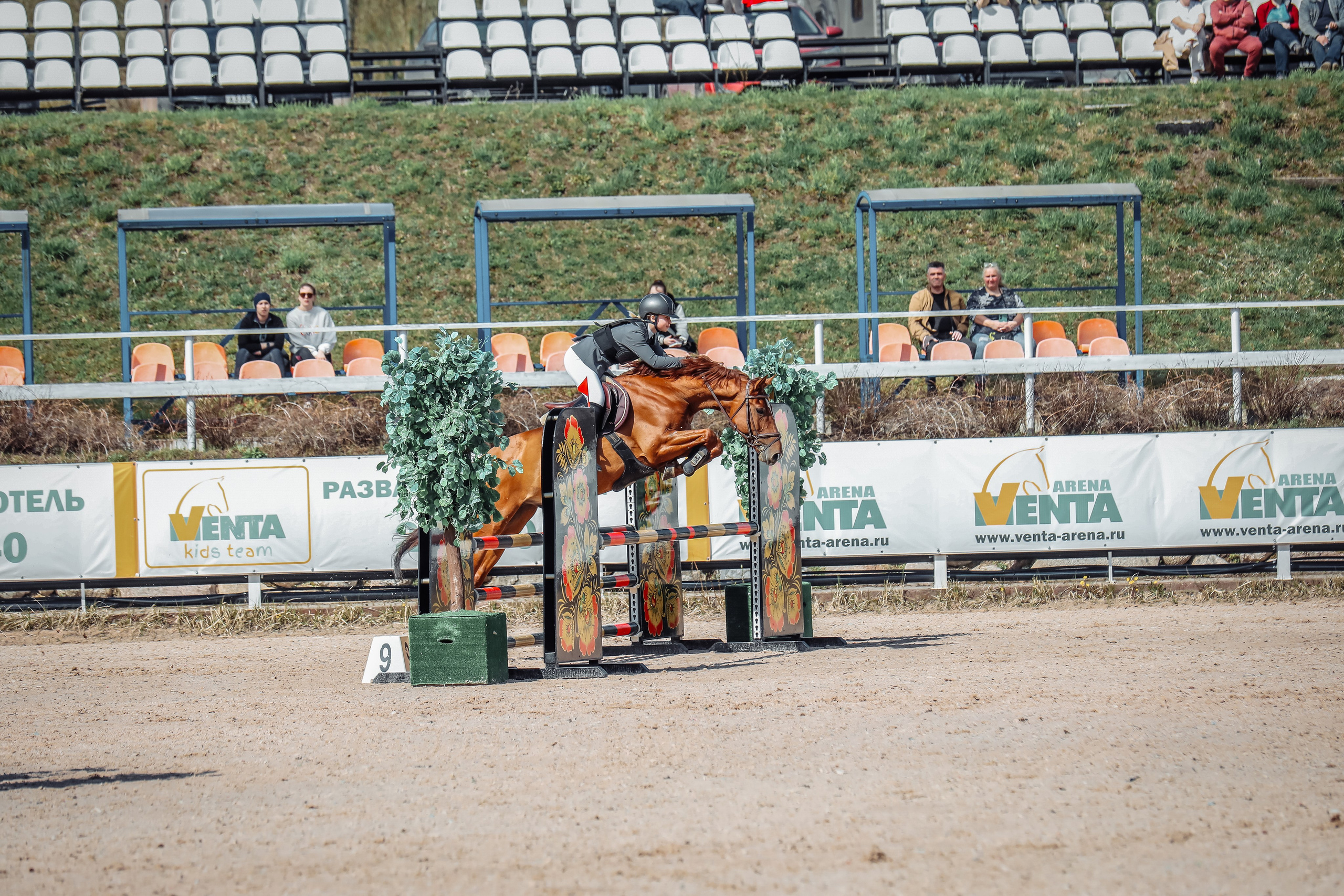 Лошади Евы Демидовой. Ева Демидова. Спортсмен по конкуру в Санкт-Петербуре