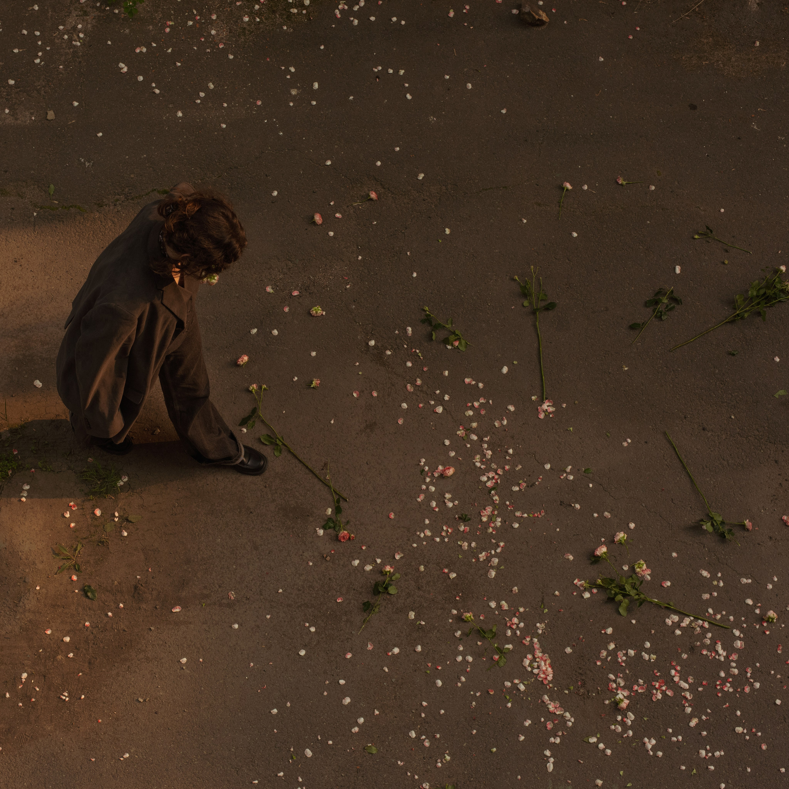 Flowers. Главная