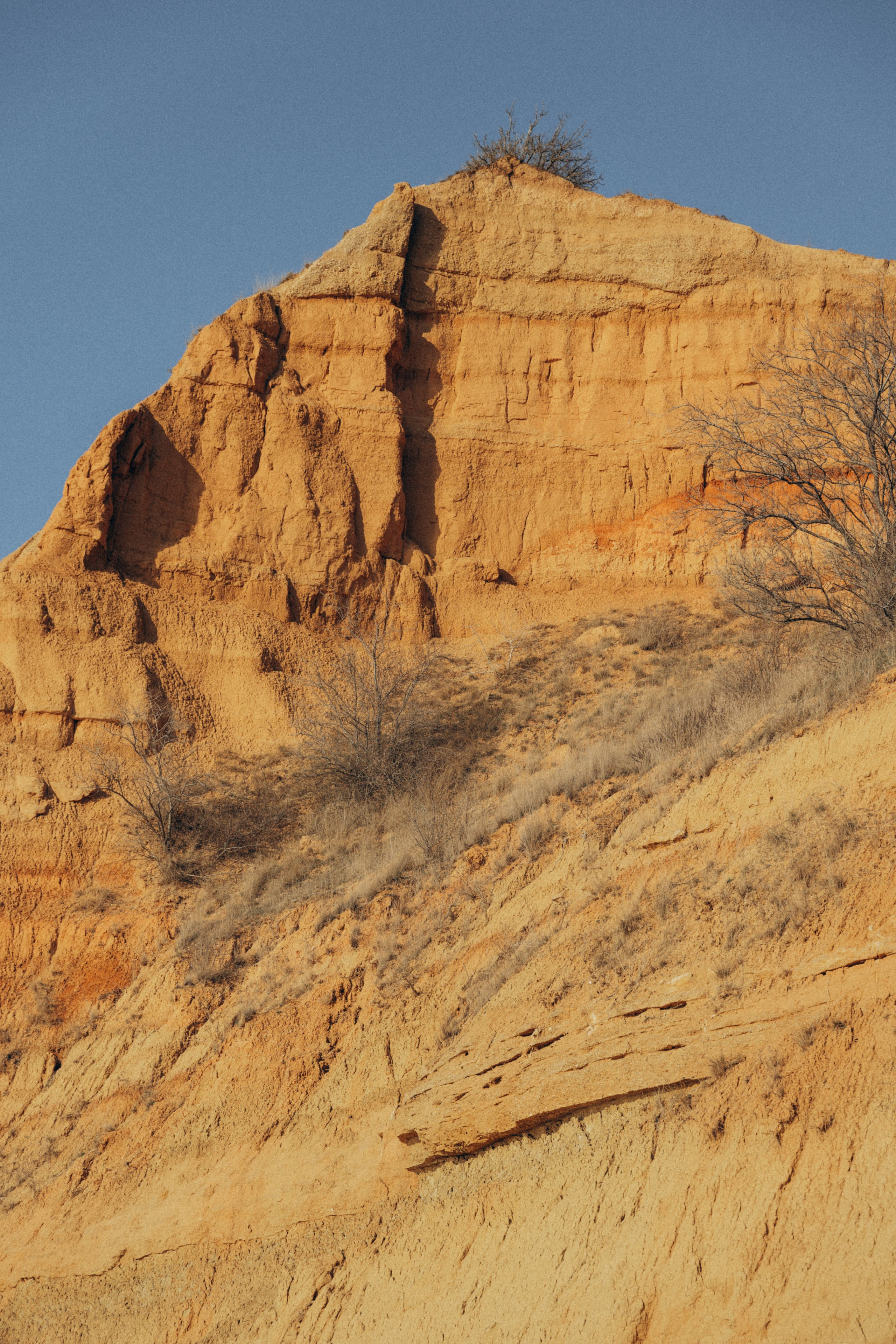 Ян и Анастасия. Мария Кобзева, фотограф в Ялте, Крым