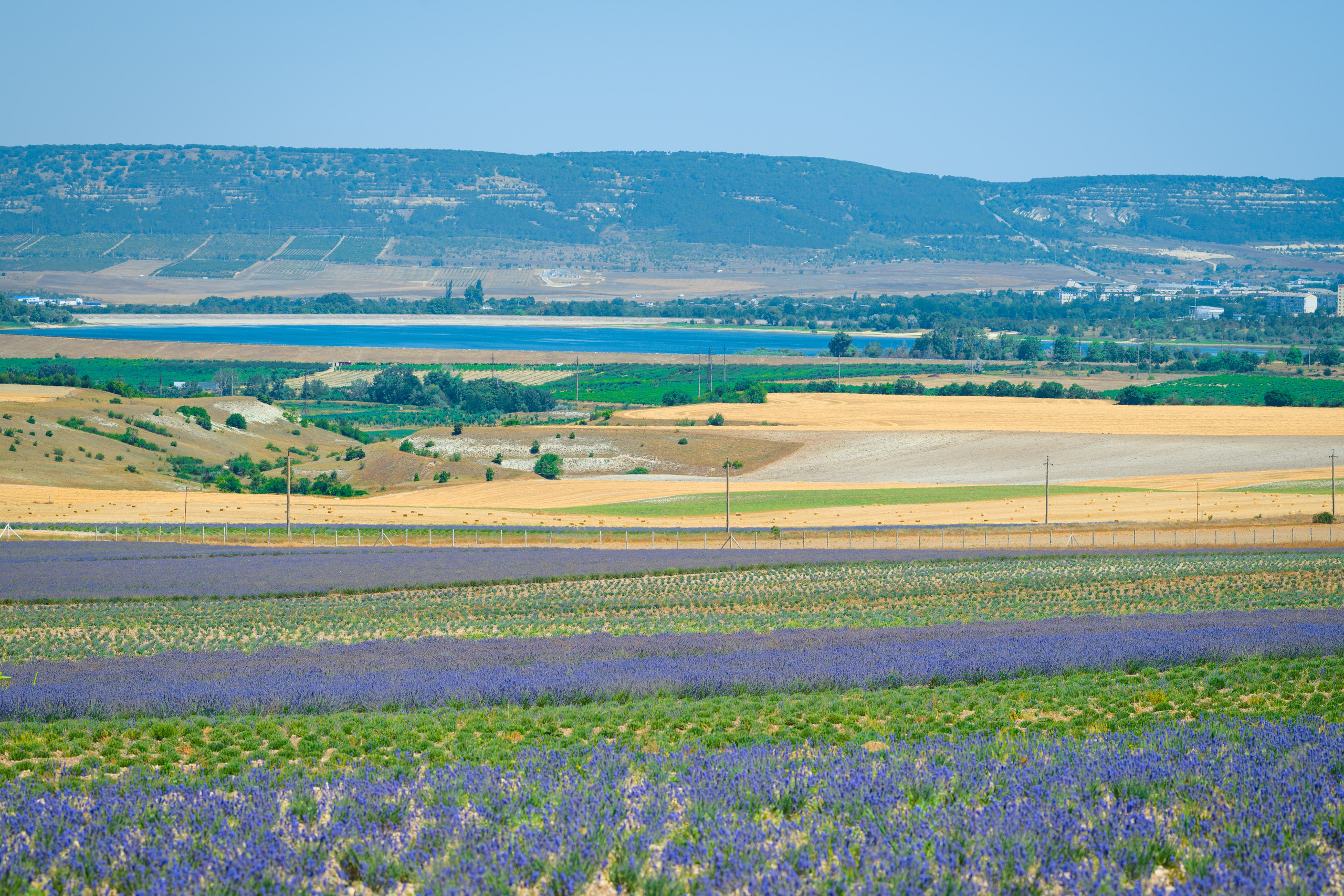 Lavanda Day фотосессии. Студийный и свадебный фотограф и видеограф в Севастополе — Юлия Макаренко