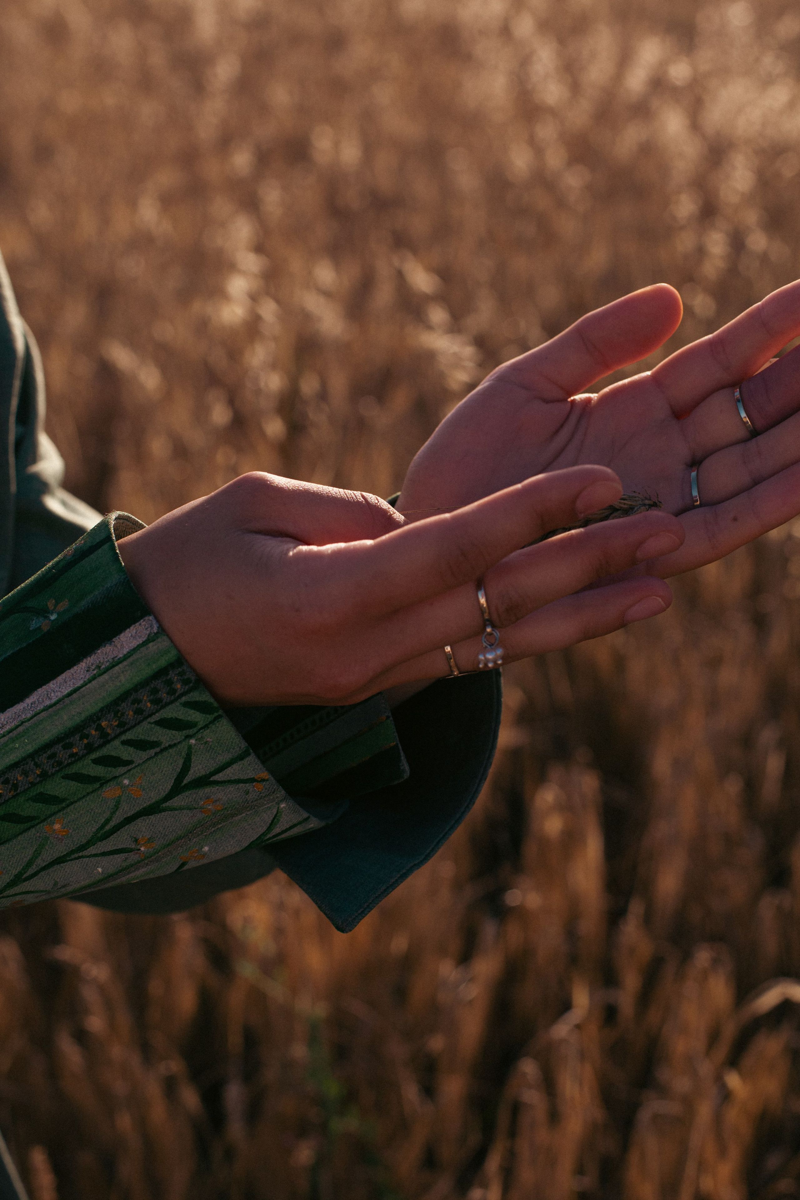 Sultaniye. Beye Shevkiyeva Photography