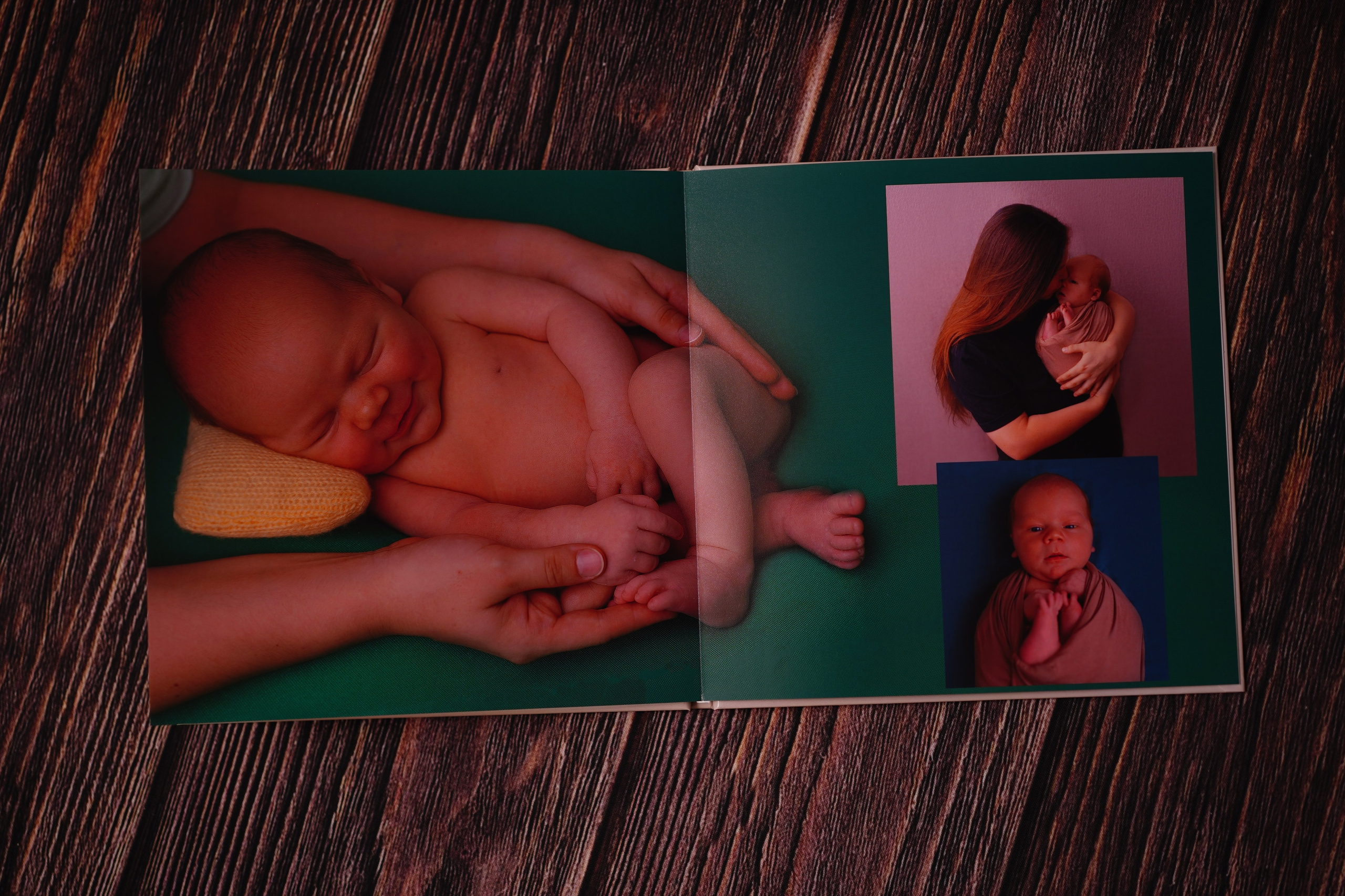 Лев 10 дней. Фотограф новорожденных в Нижнем Новгороде Сергеева Оксана