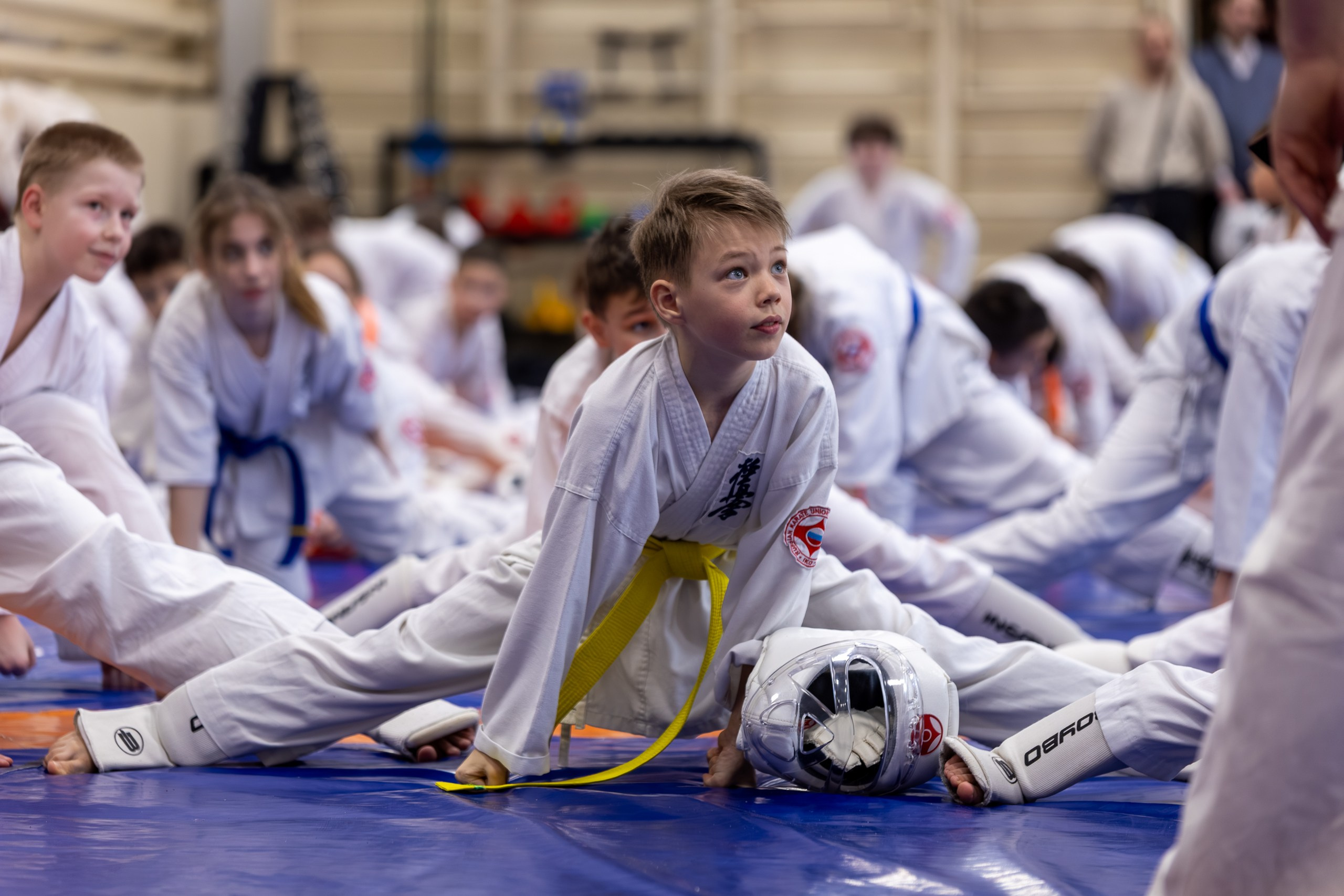 Открытый урок по карате февраль 2026. Главная