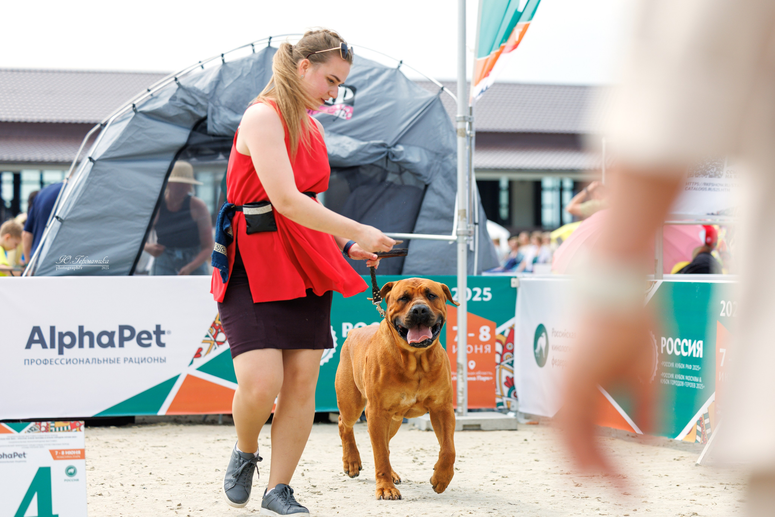 РОССИЯ 7-8.06.2025. Фотограф-анималист Юлия Германика