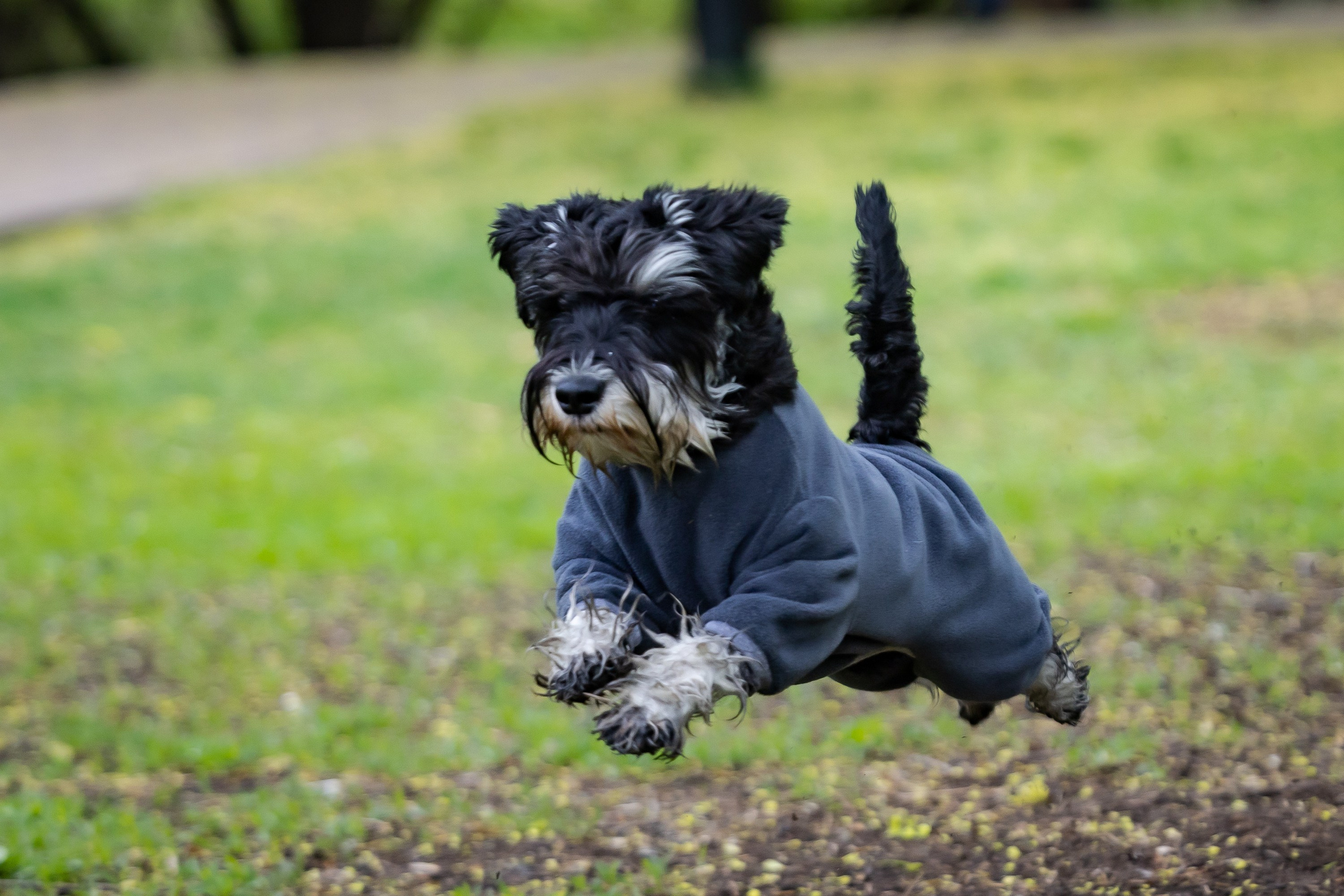 Животные. Фотограф Владимир Охрименко