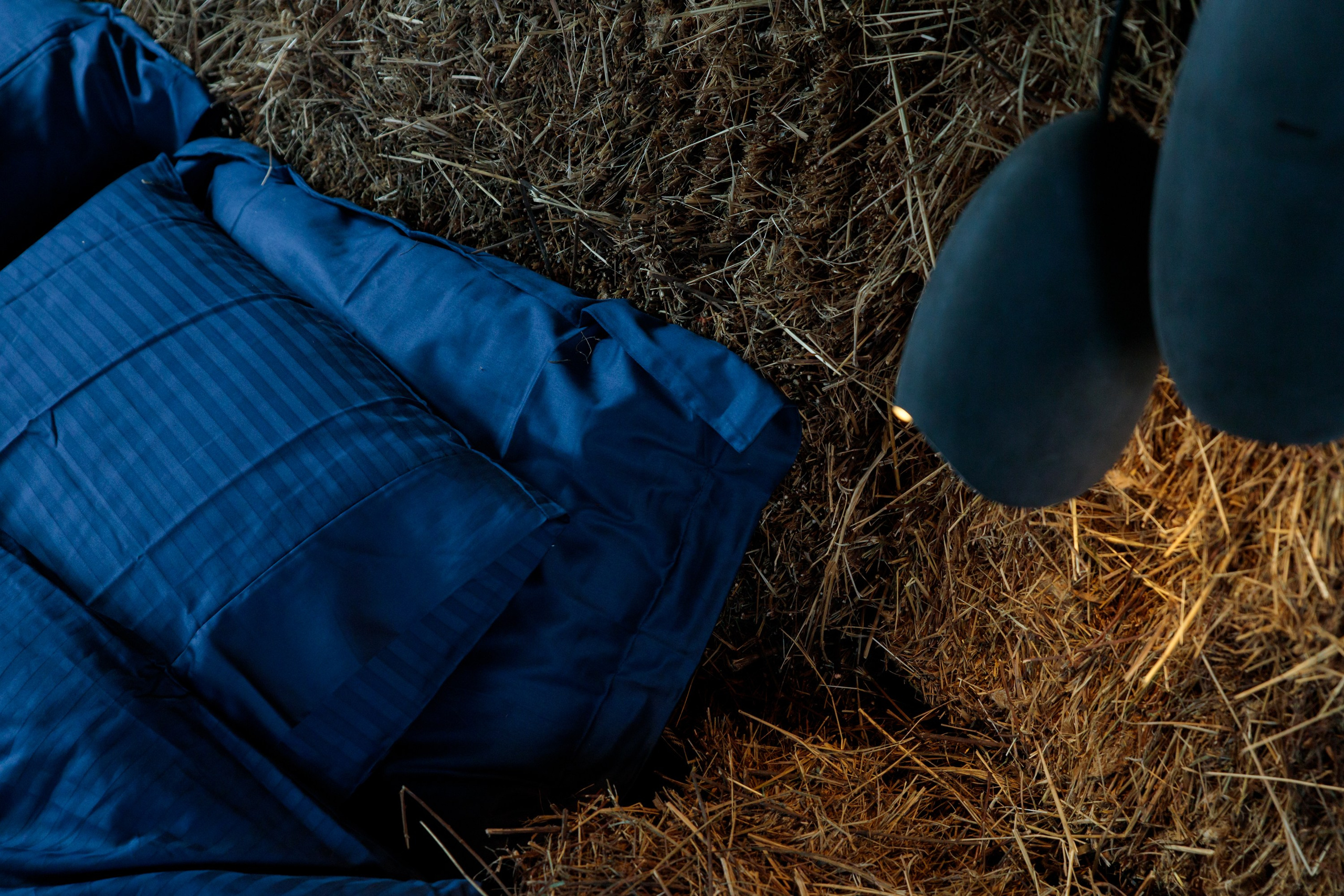 Форумы | Фестивали. Гришин Дмитрий — репортажный, событийный фотограф во Владивостоке