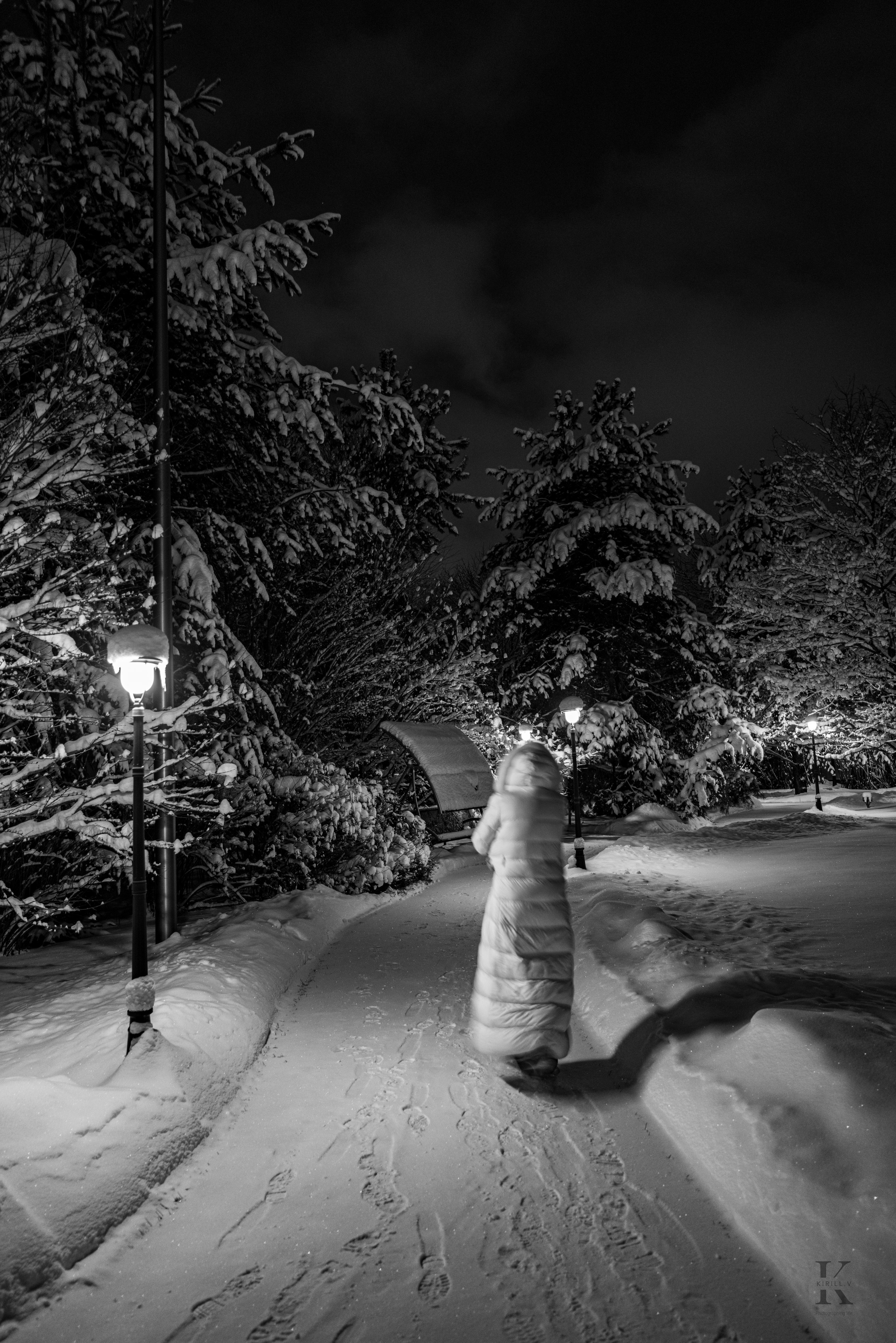 Природа 31 Декабря 2025 года. Клены. Фотографирую жизнь! Московский фотограф волонтер