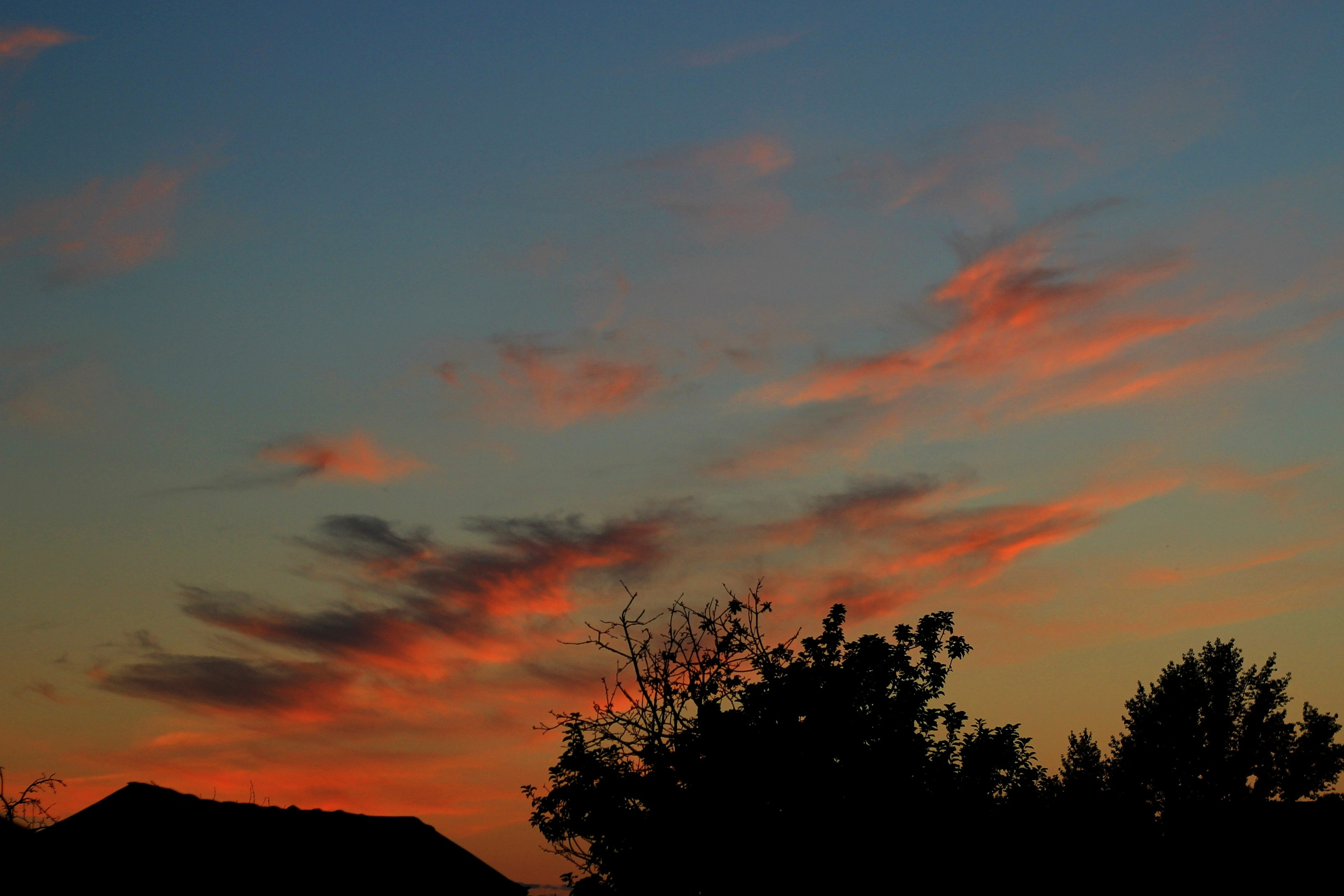 Природа. Команда фотографов Кристины Ивановой