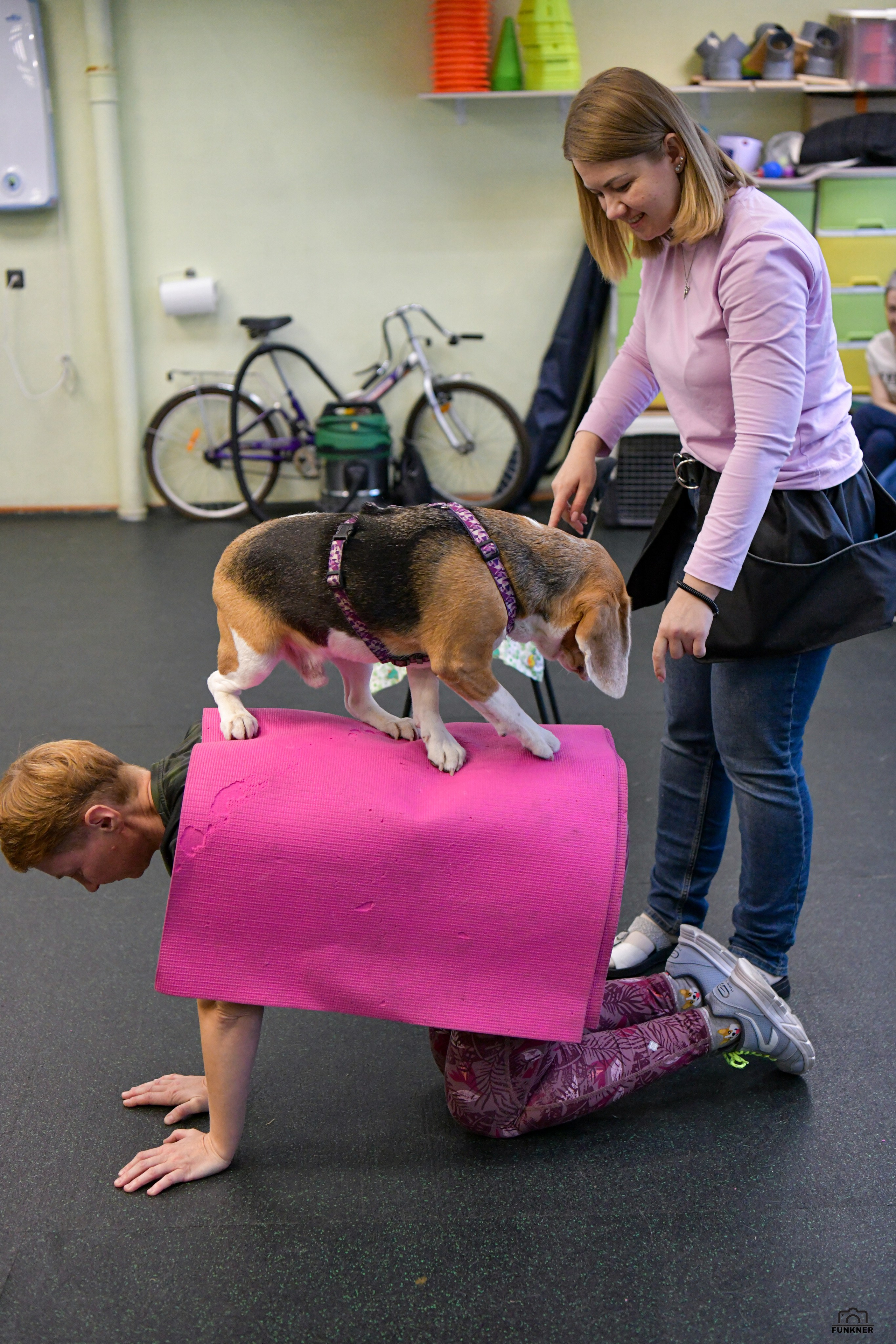 Кинологический клуб «Бодрый хвост». Свой взгляд через объектив