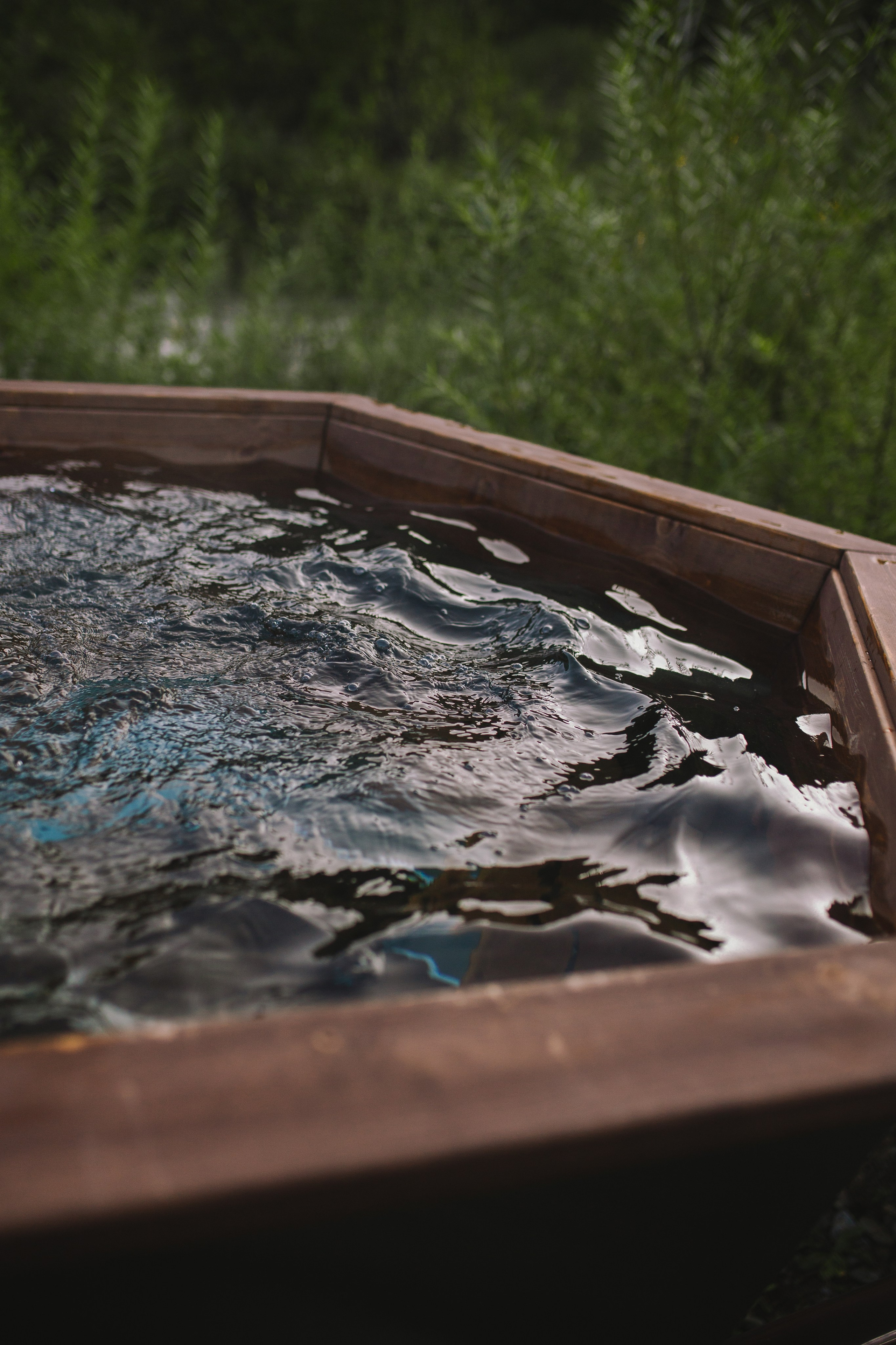 Контент для отелей. Фотограф Горный Алтай